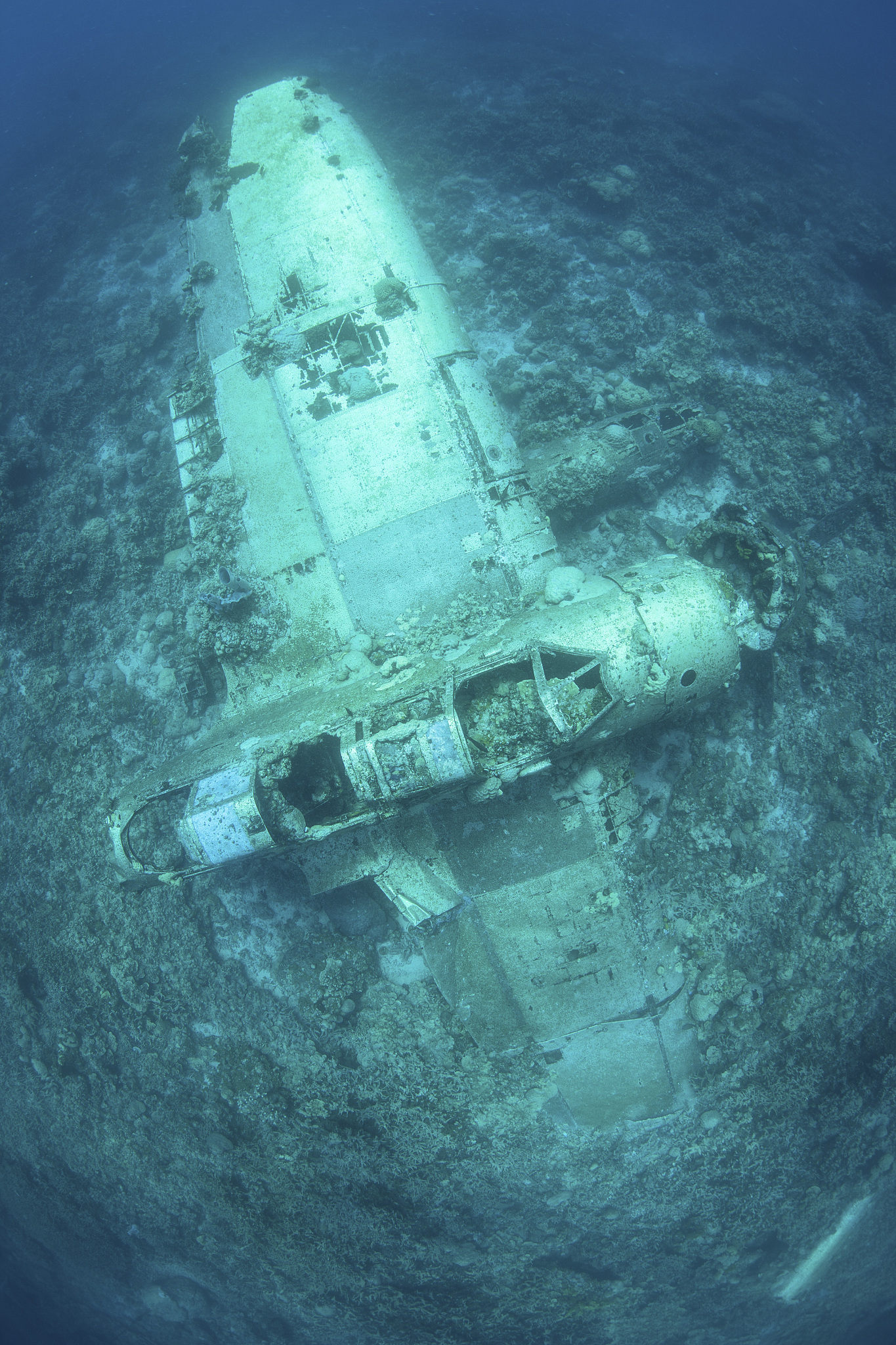 a japanese jake seaplane on the seafloor of palaus lagoon.