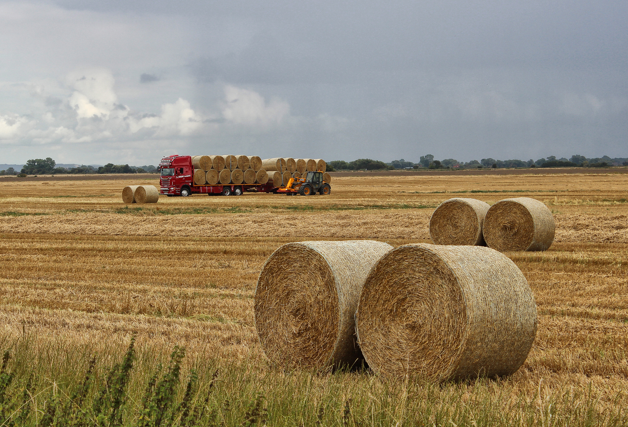 俄乌冲突对中国农产品贸易的影响及应对措施
