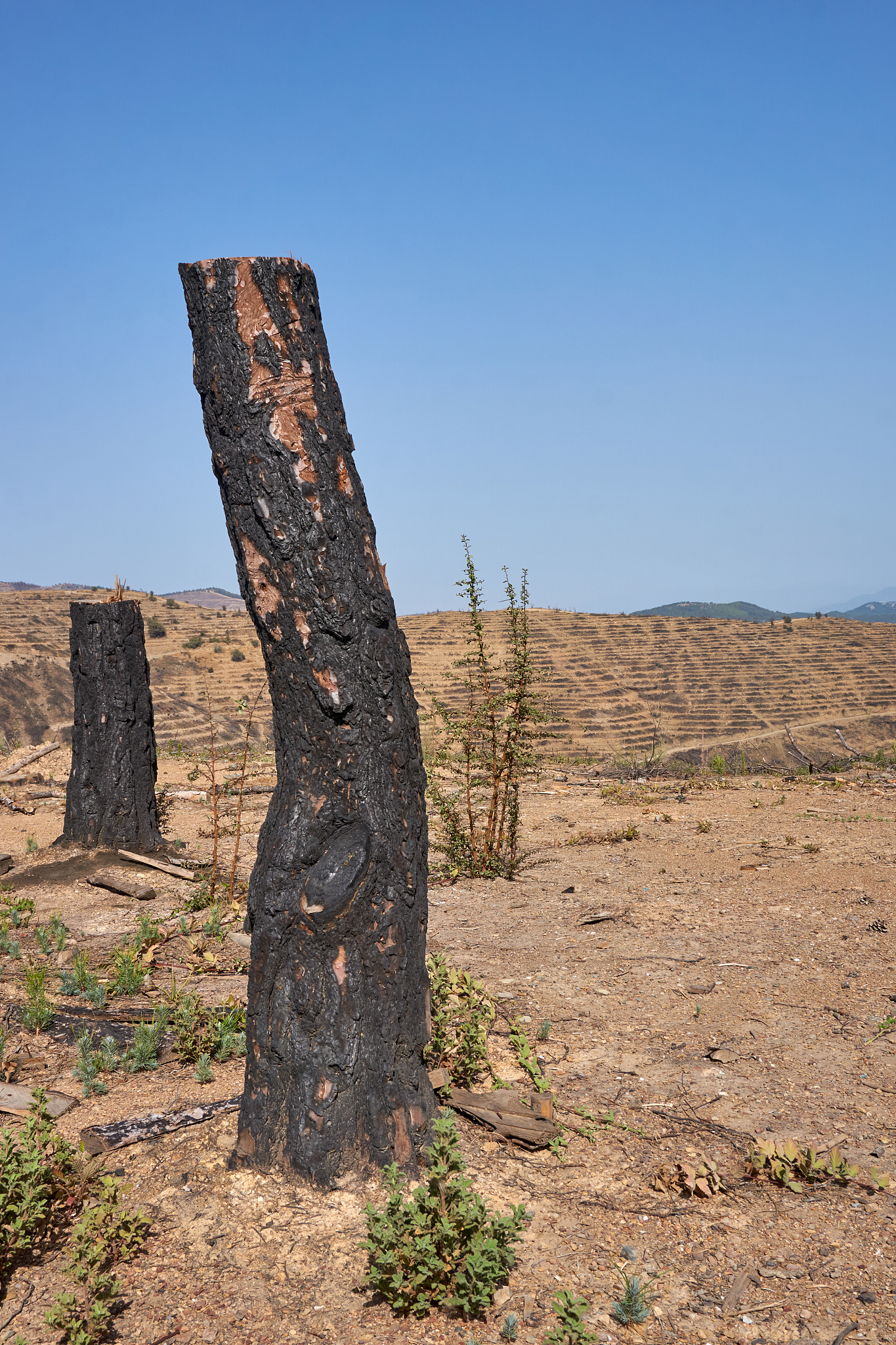 防爆应急灯经销商和供应商推荐 - 购买指南