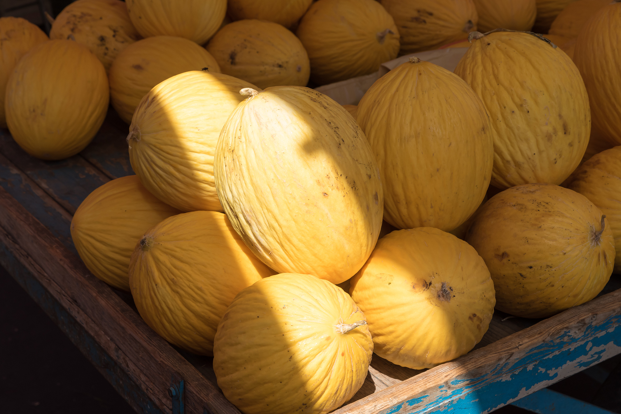 yellow melons at the market