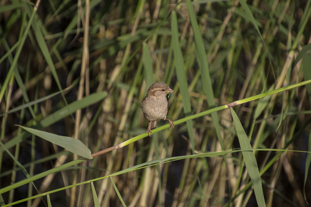 2021年山东烟台农业学校招生专业有哪些