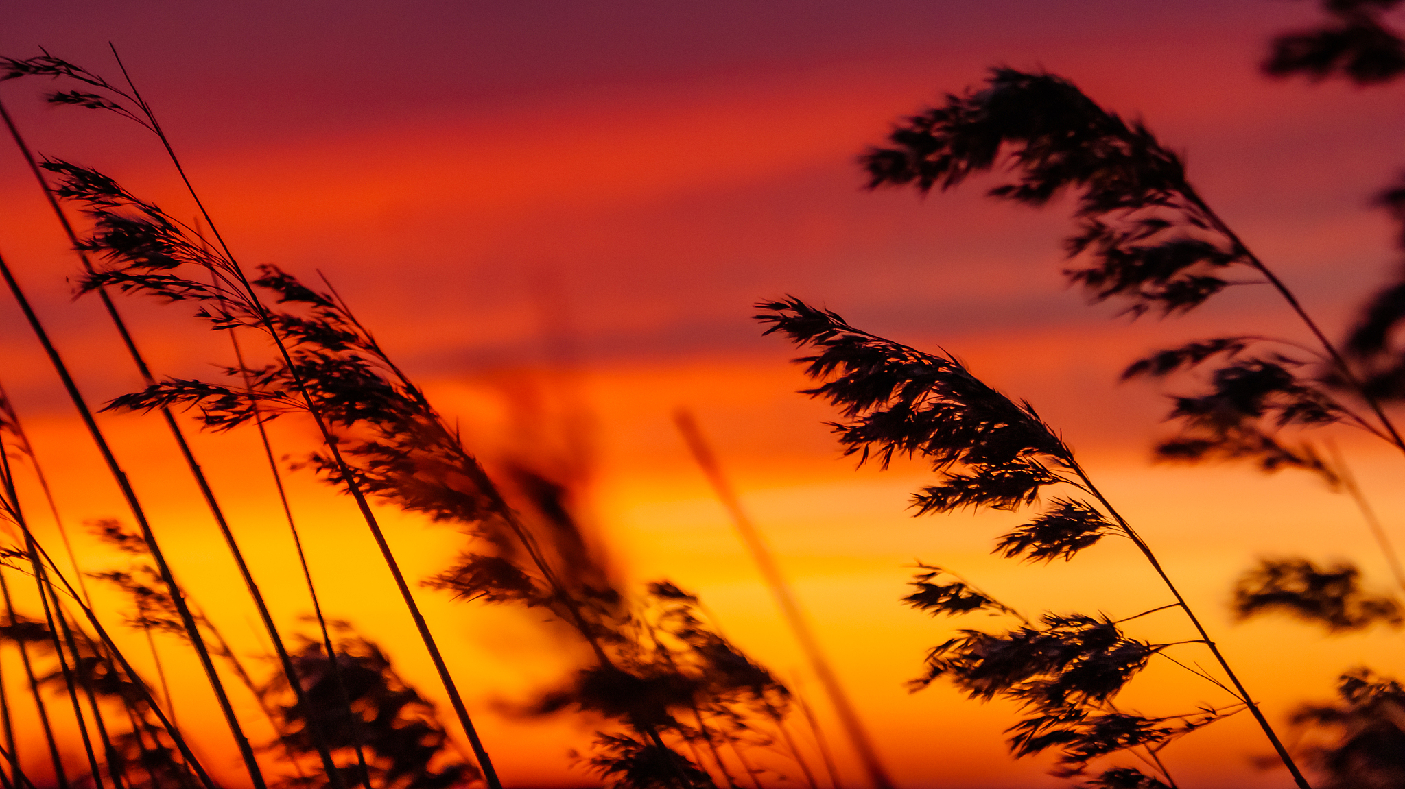 夕阳西下，古诗描绘日落美景