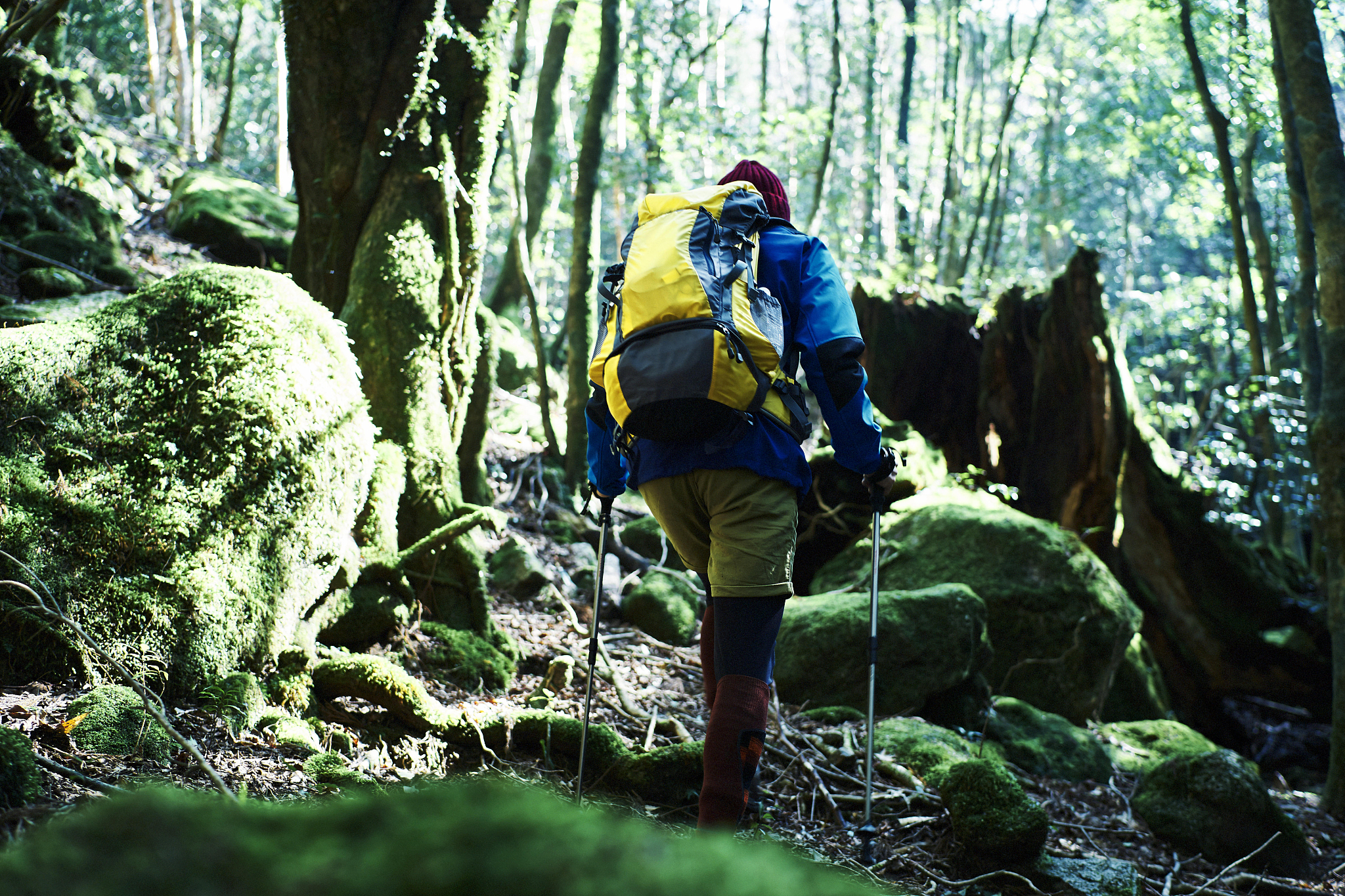 请把标题写得更吸引人一些