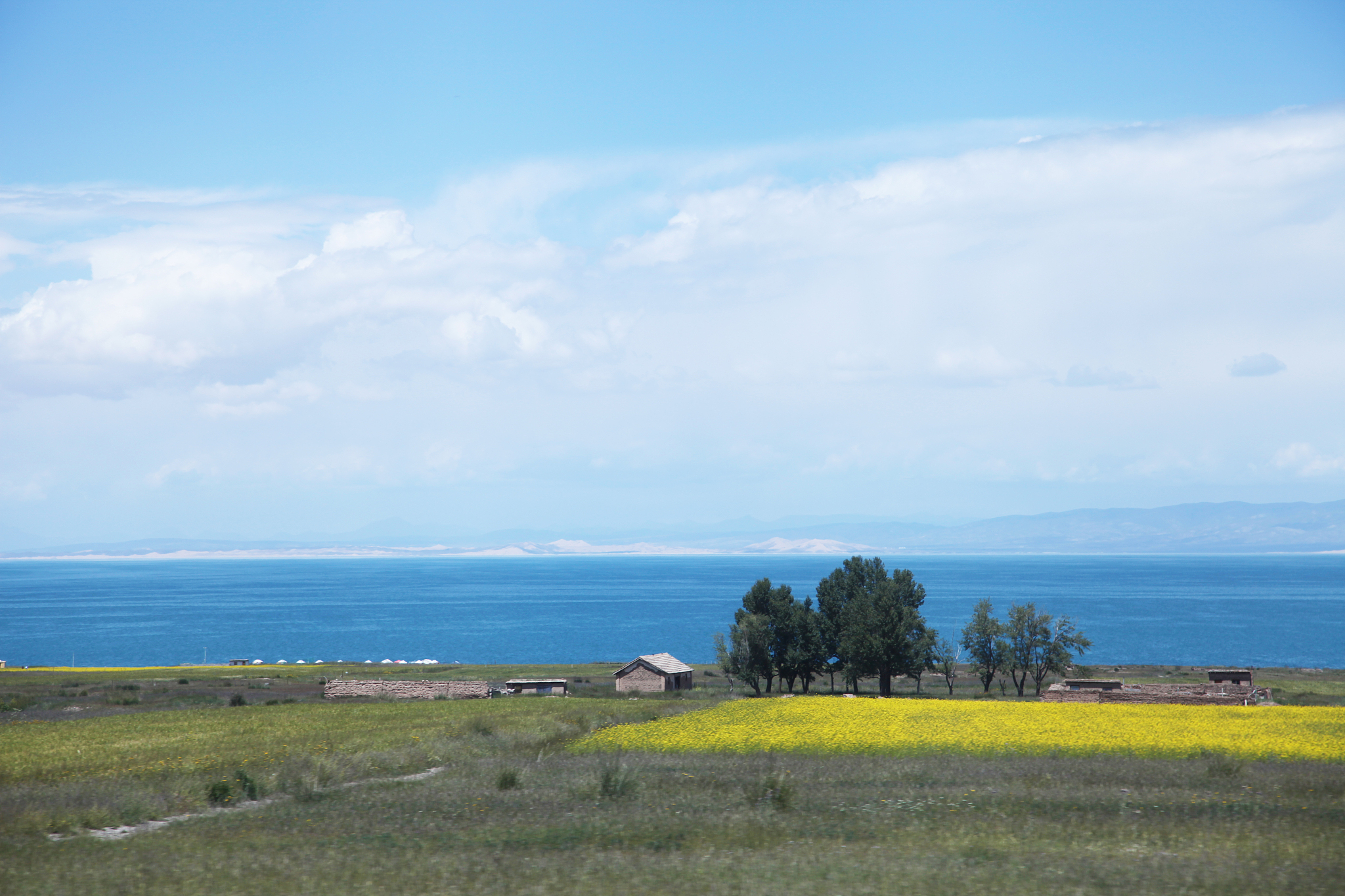 以《青海湖畔一日游攻略让你的心灵与大自然共鸣》为文章标题写一篇一千字左右的文章要求文章条理清晰要求内容尽量丰富且完整要求描写详细且文笔优美要求文章内容引人入胜要求让人有读下去的欲望。为上文写1个不同风格的长标题要求标题足够吸引人但是又不能标题党。