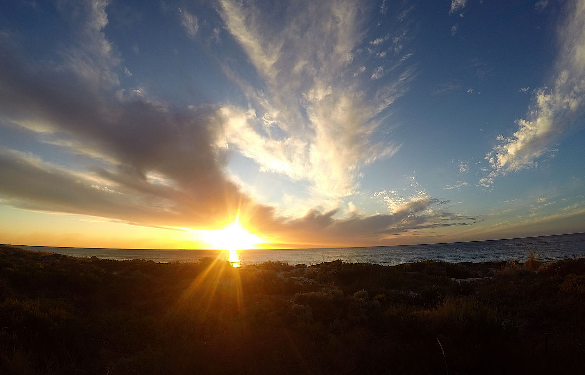 仿写'一茶一菩提'的诗：感悟生活中的美好与力量
