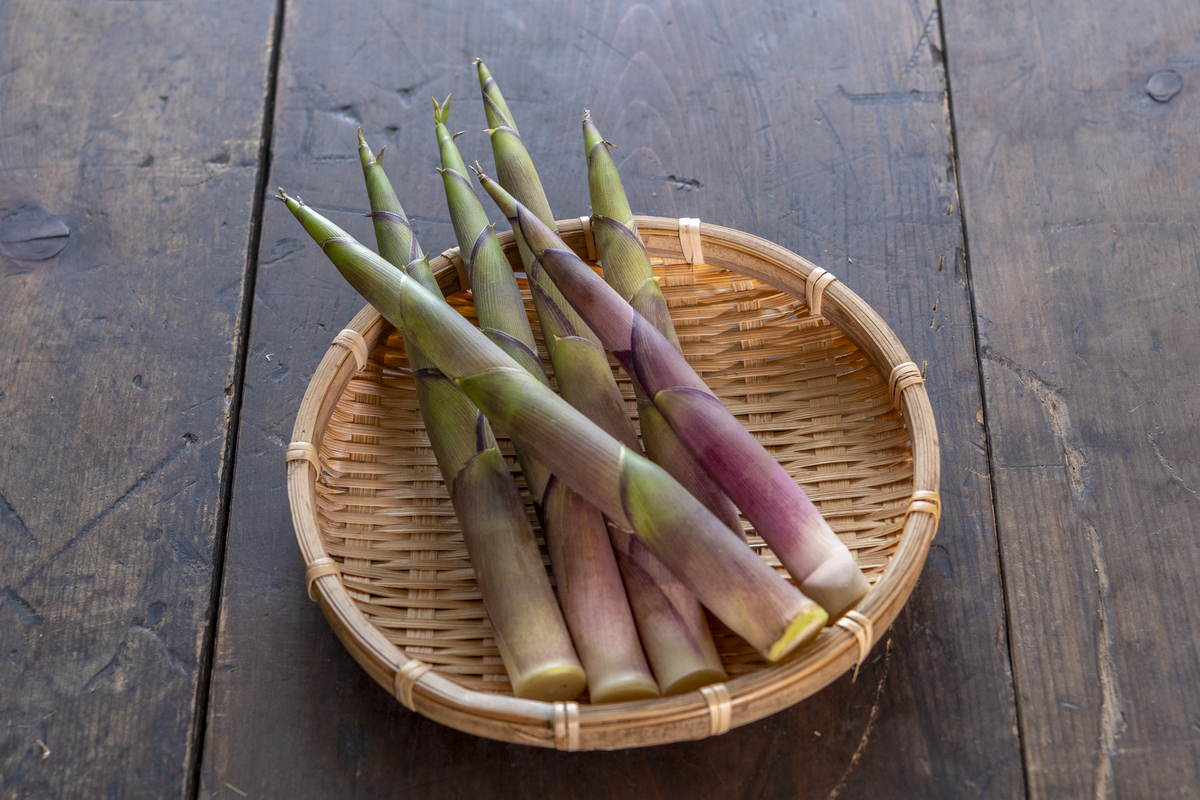 竹笋有臭味能吃吗，