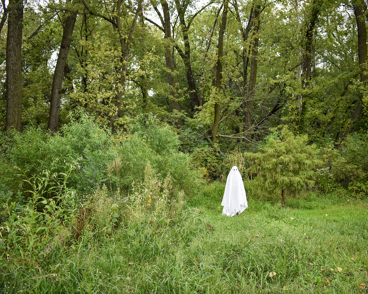 推荐好看的动漫