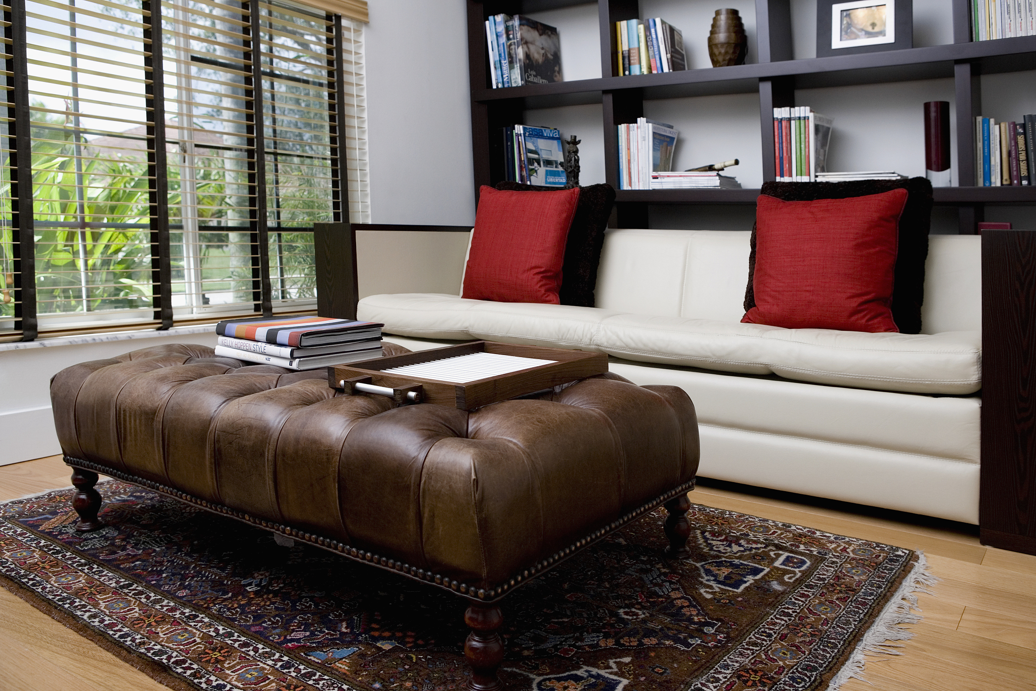 interiors of a living room