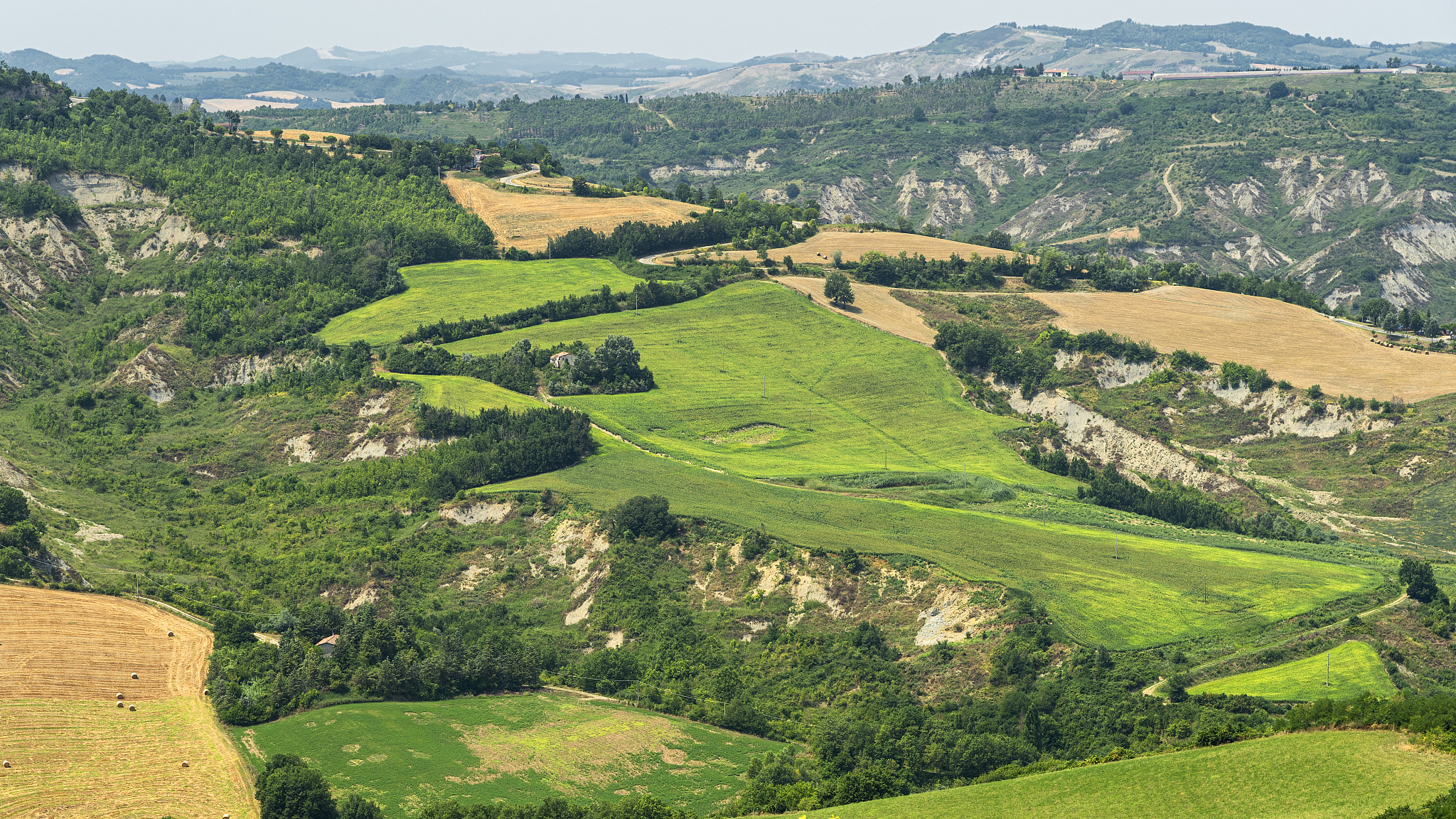 summer landscape near meldola, in the appennino