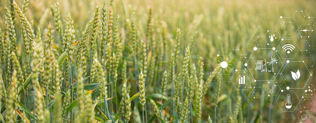 曲靖农业中等学校2019年五年制大专招生咨询电话 - 农业人才培养首选