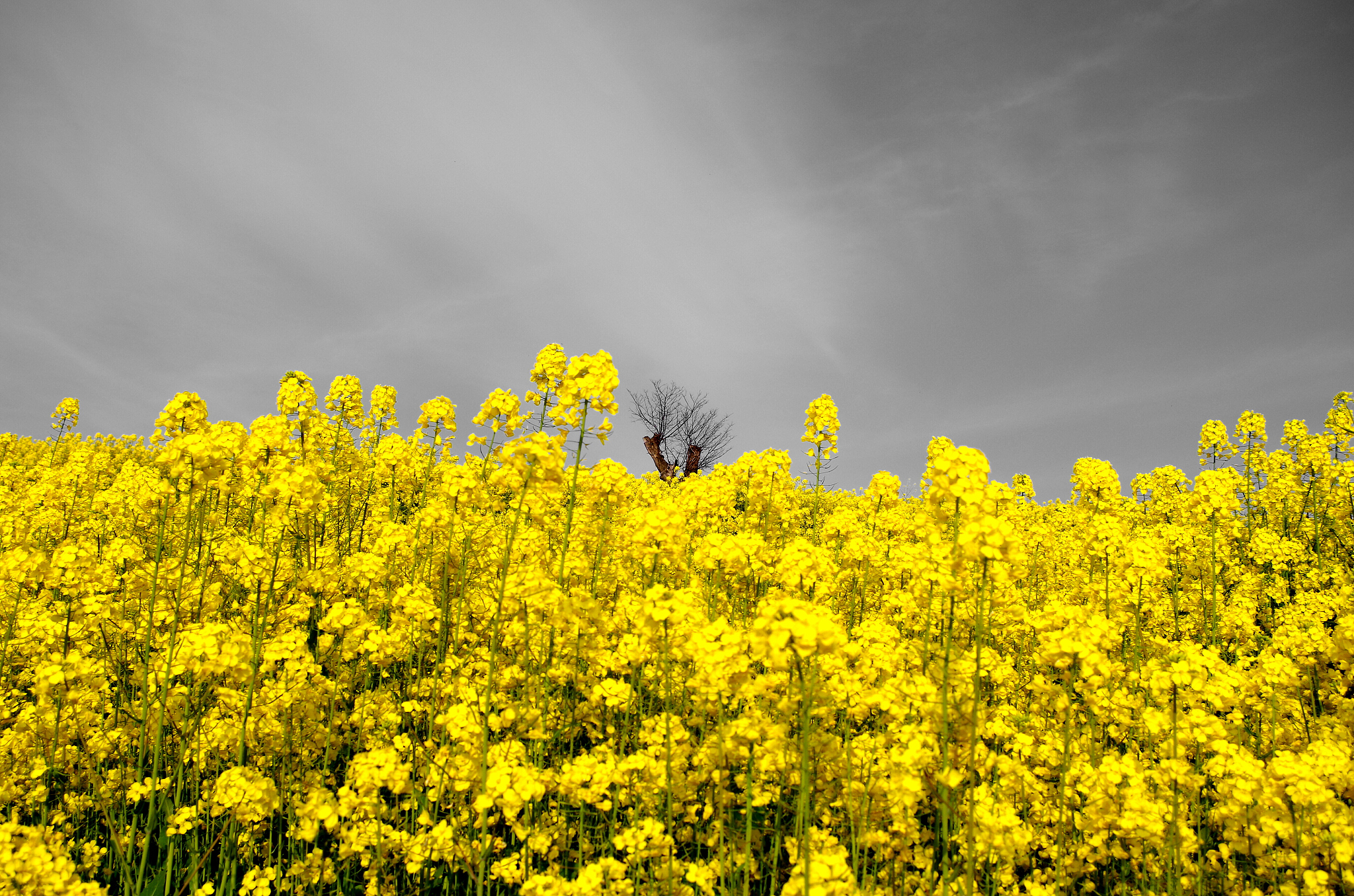 贵州省农业广播电视学校农村经济综合管理专业怎么样都要学些什么怎么样