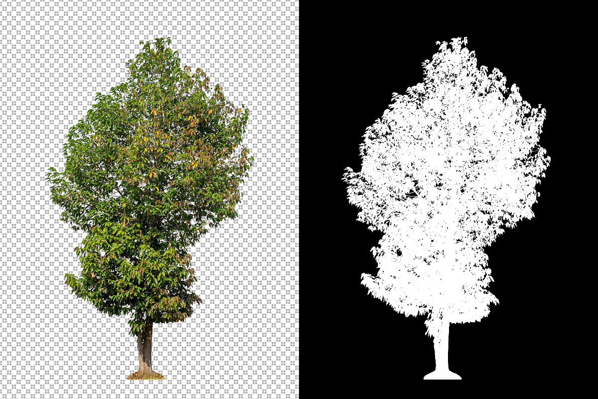 剪辑视频赚钱？揭秘收入来源及行业现状！
