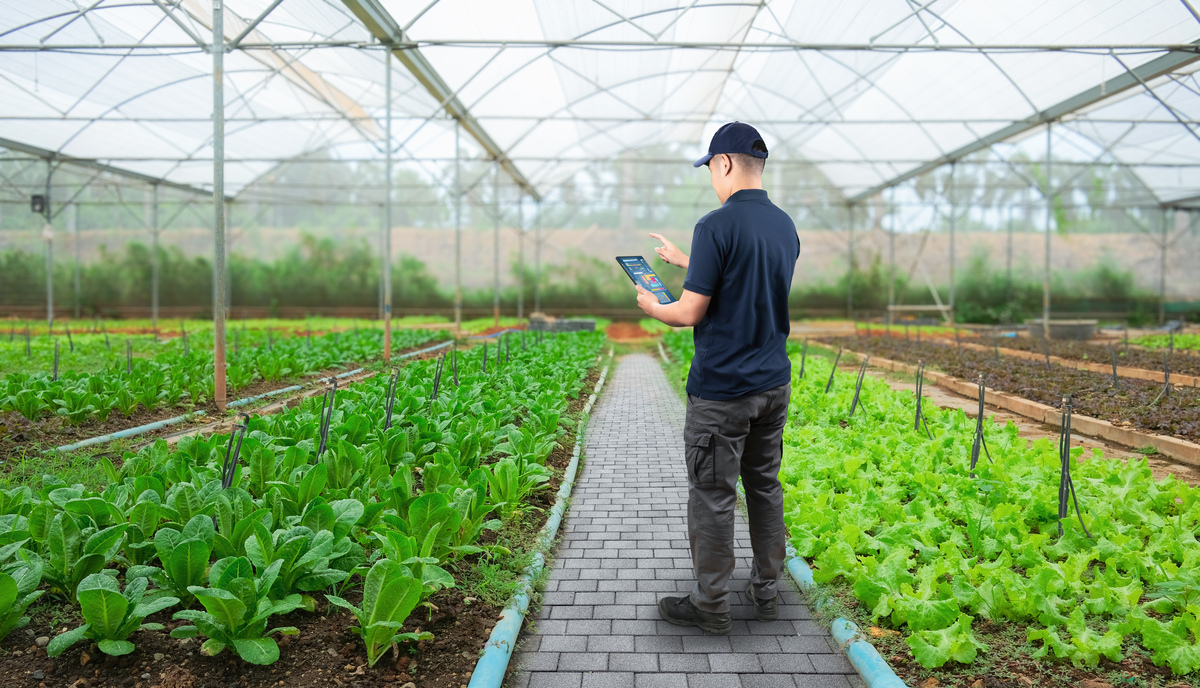 设施农业生产技术专业就业前景怎么样？