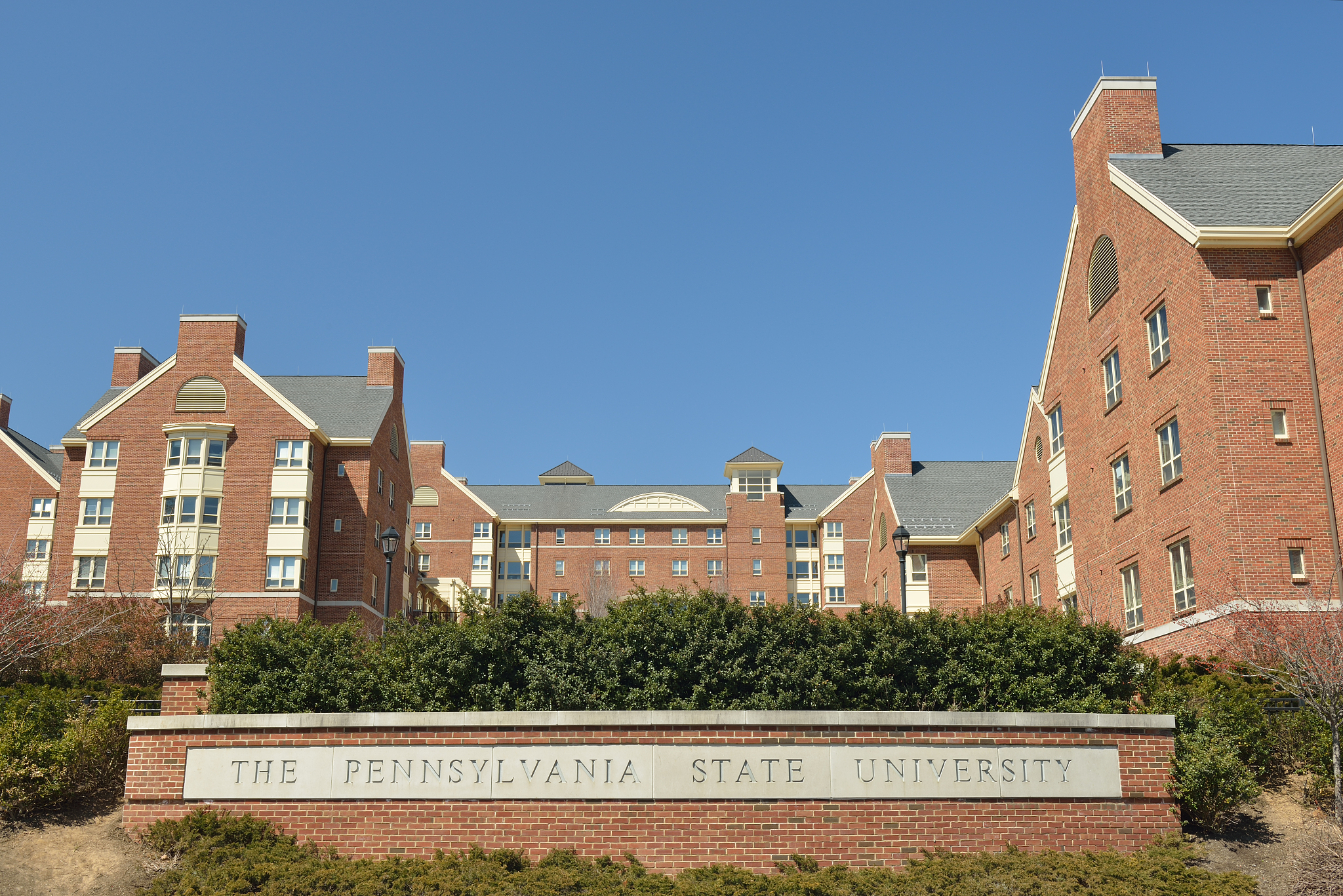penn state university