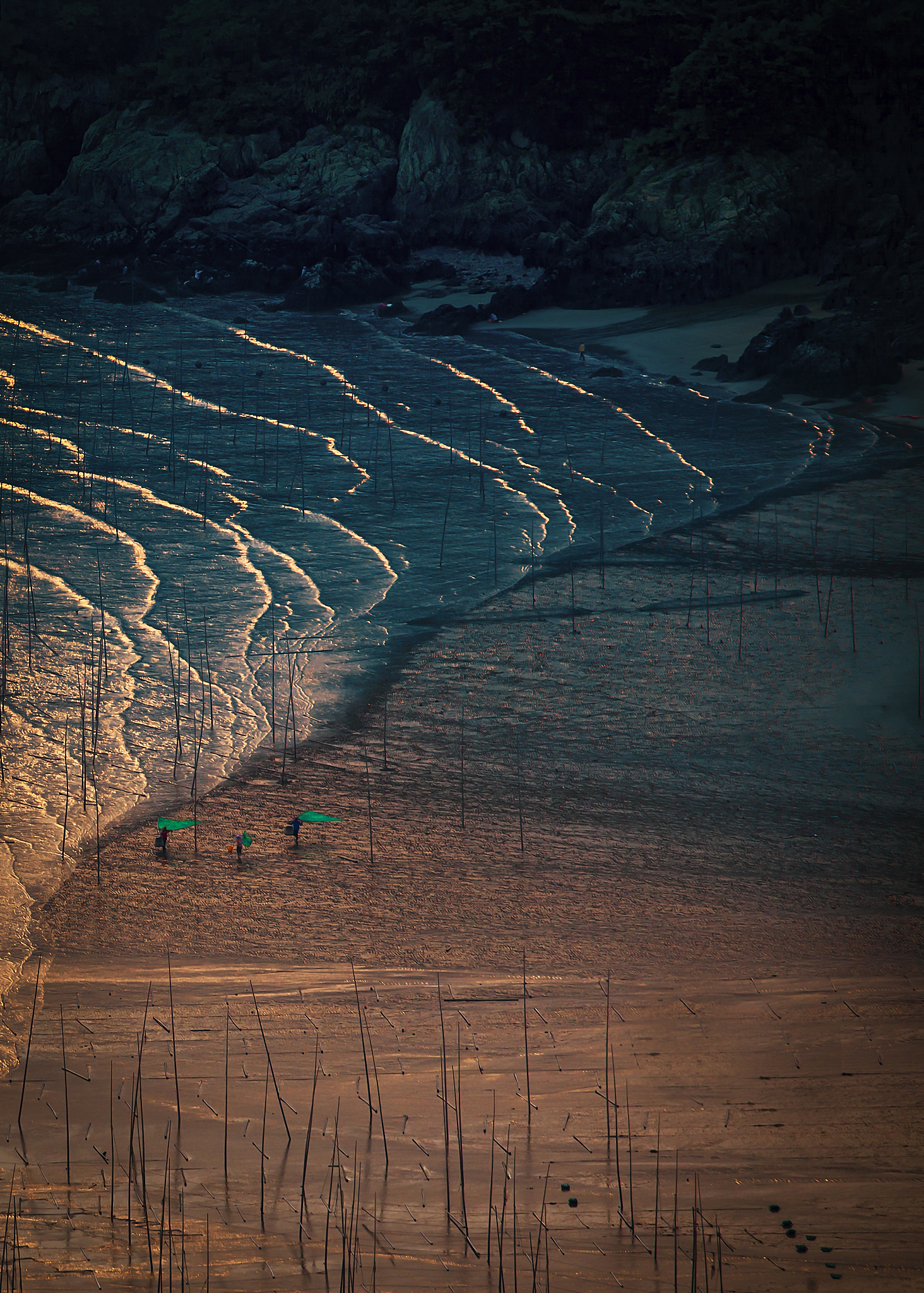可以在爱吾游戏宝盒的 口袋妖怪漆黑的魅影 使用的金手指