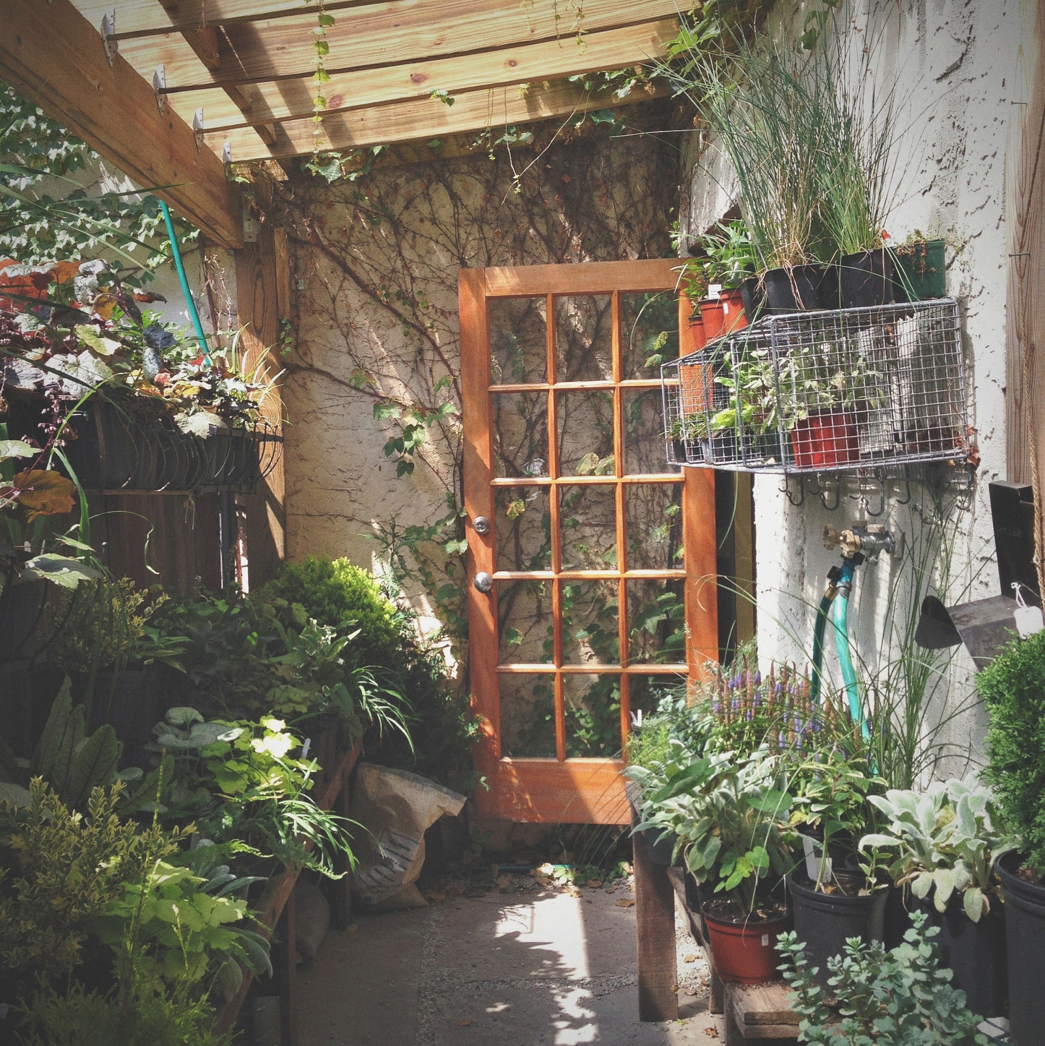 回到家乡，开一家小店，遇见温暖与梦想 - 努力生活，从容不迫