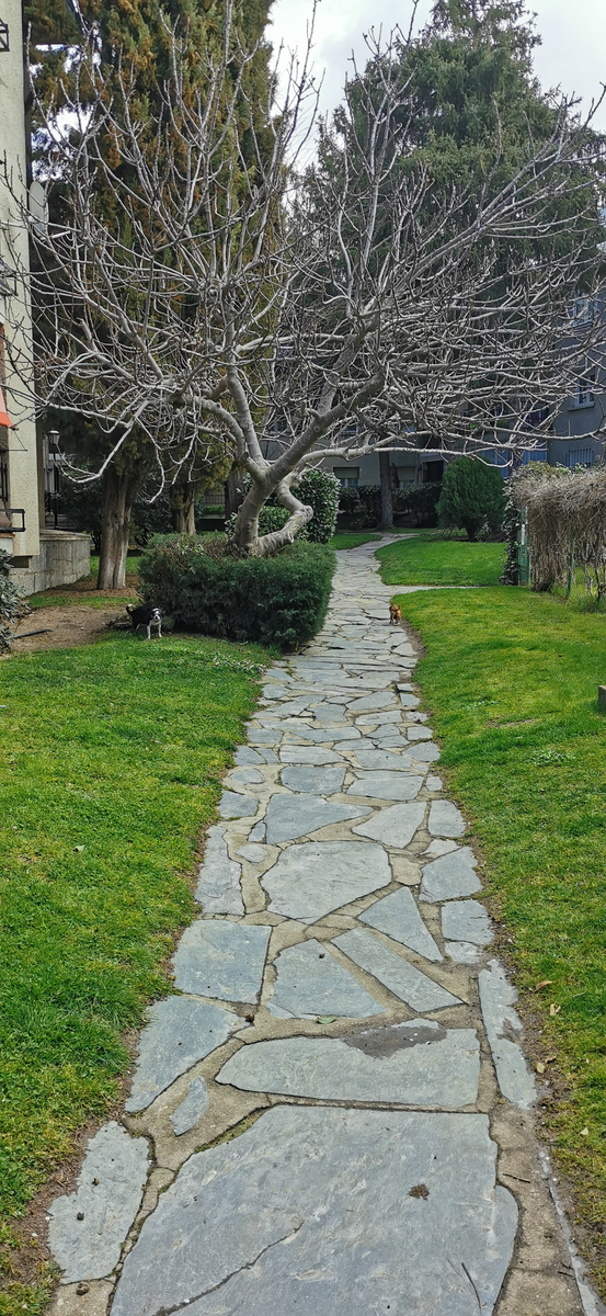 花园路径设计：打造你的花园通道