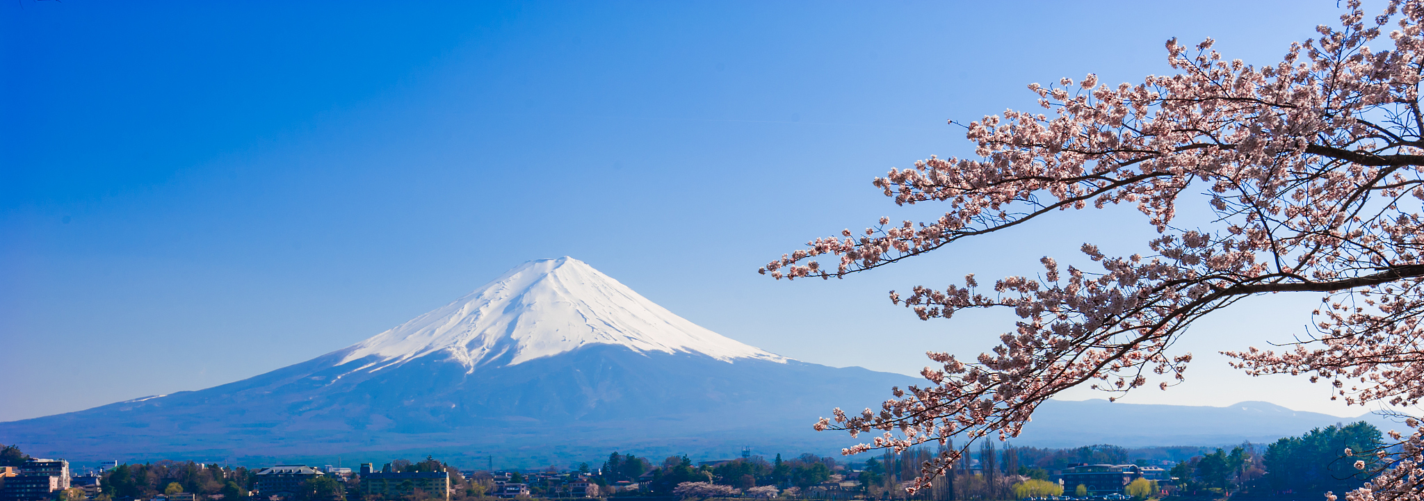 fujisan , mount fuji view from kawaguchiko lake, japan with cher