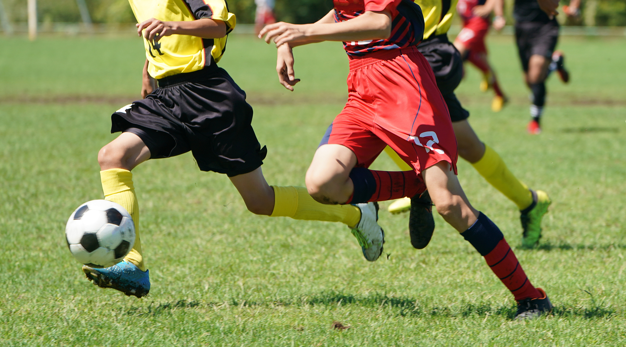 soccer