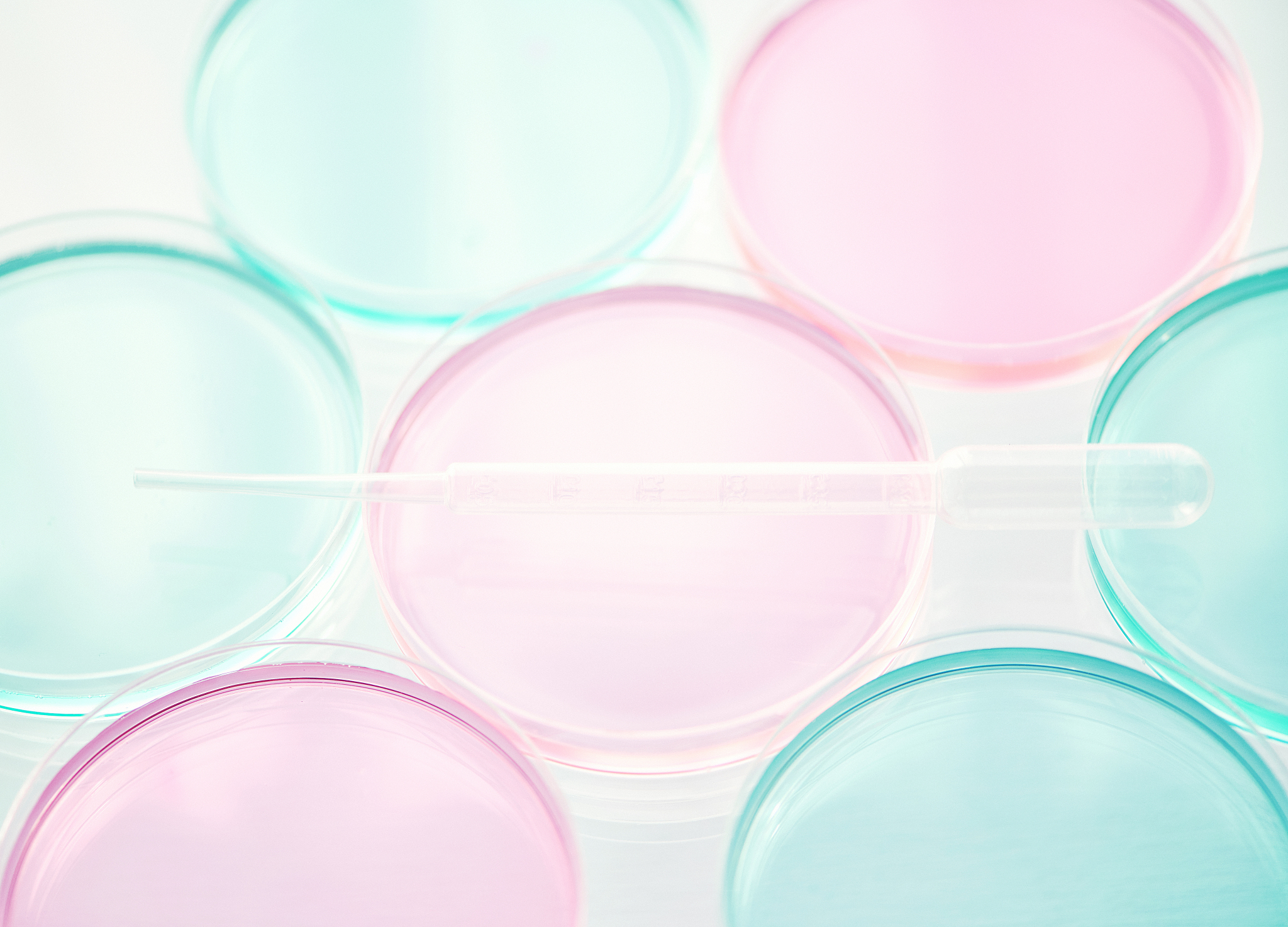 内江市科技开发学校：科技领域发展实力强劲