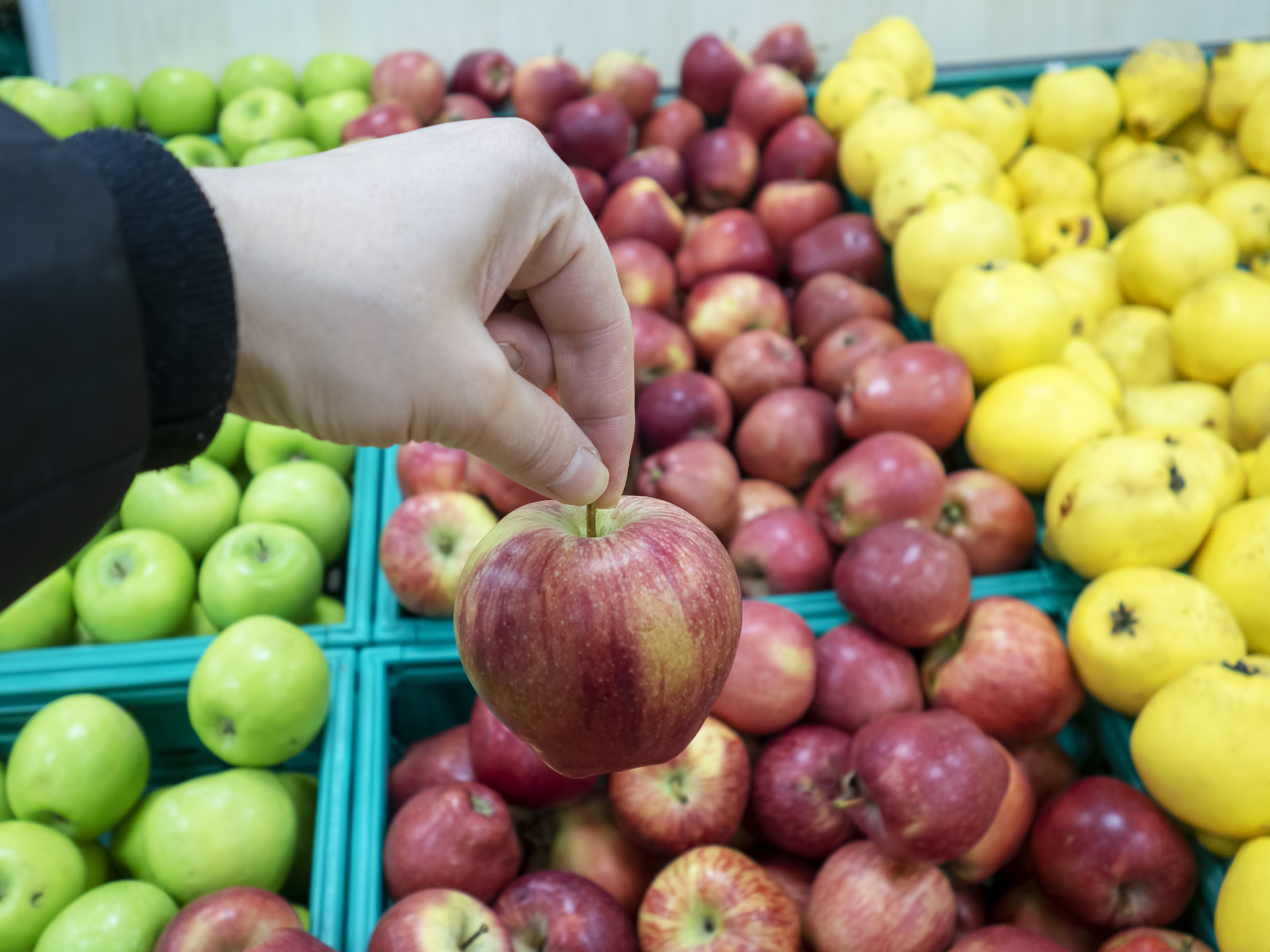 choosing the right apple on the market