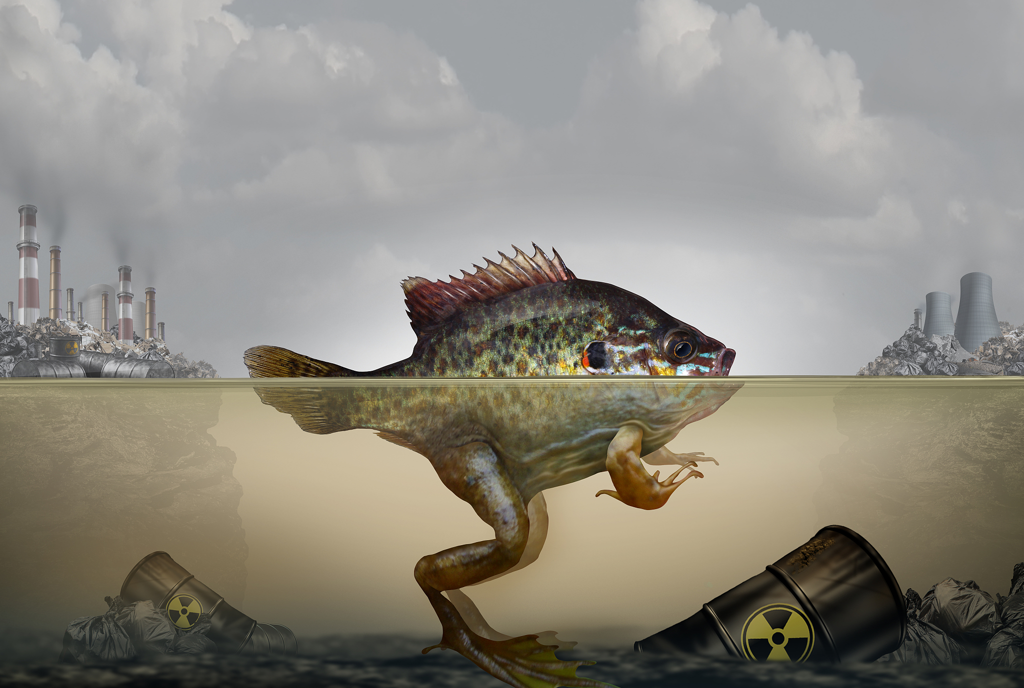 environmental pollution genetic mutation