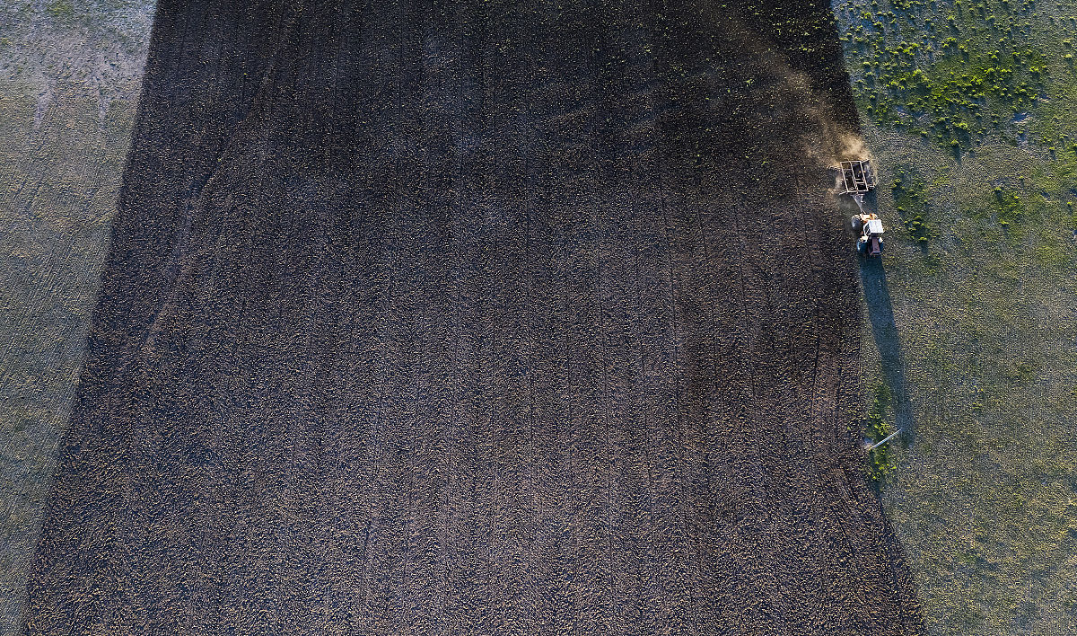 人工湿地新的基质材料