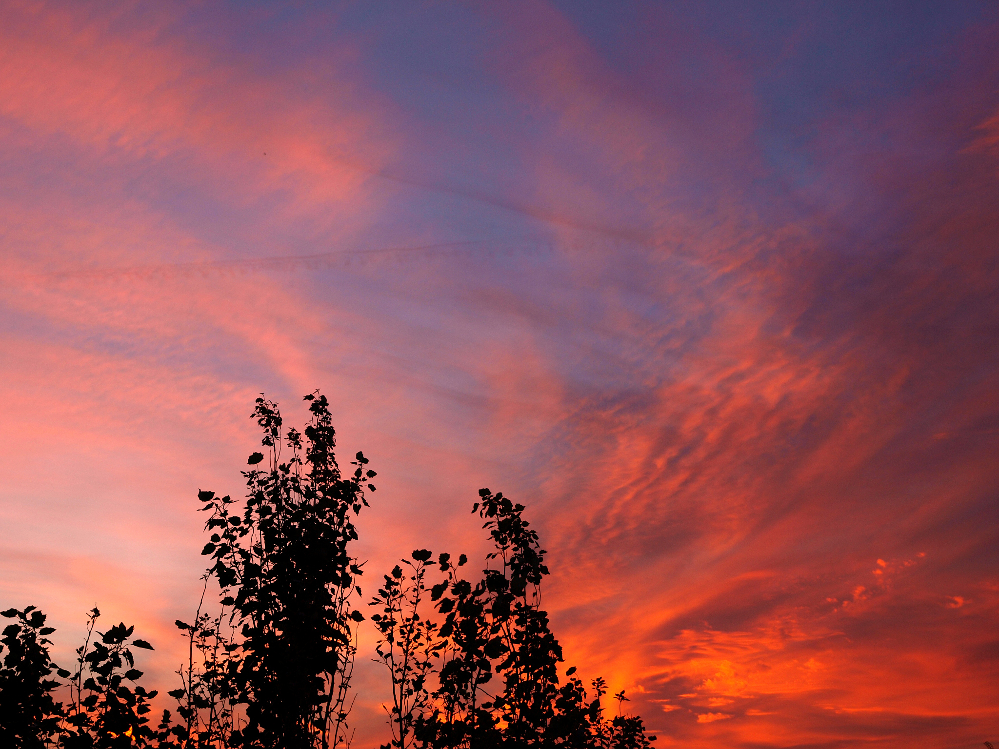 校园晚霞，如梦似幻的美景
