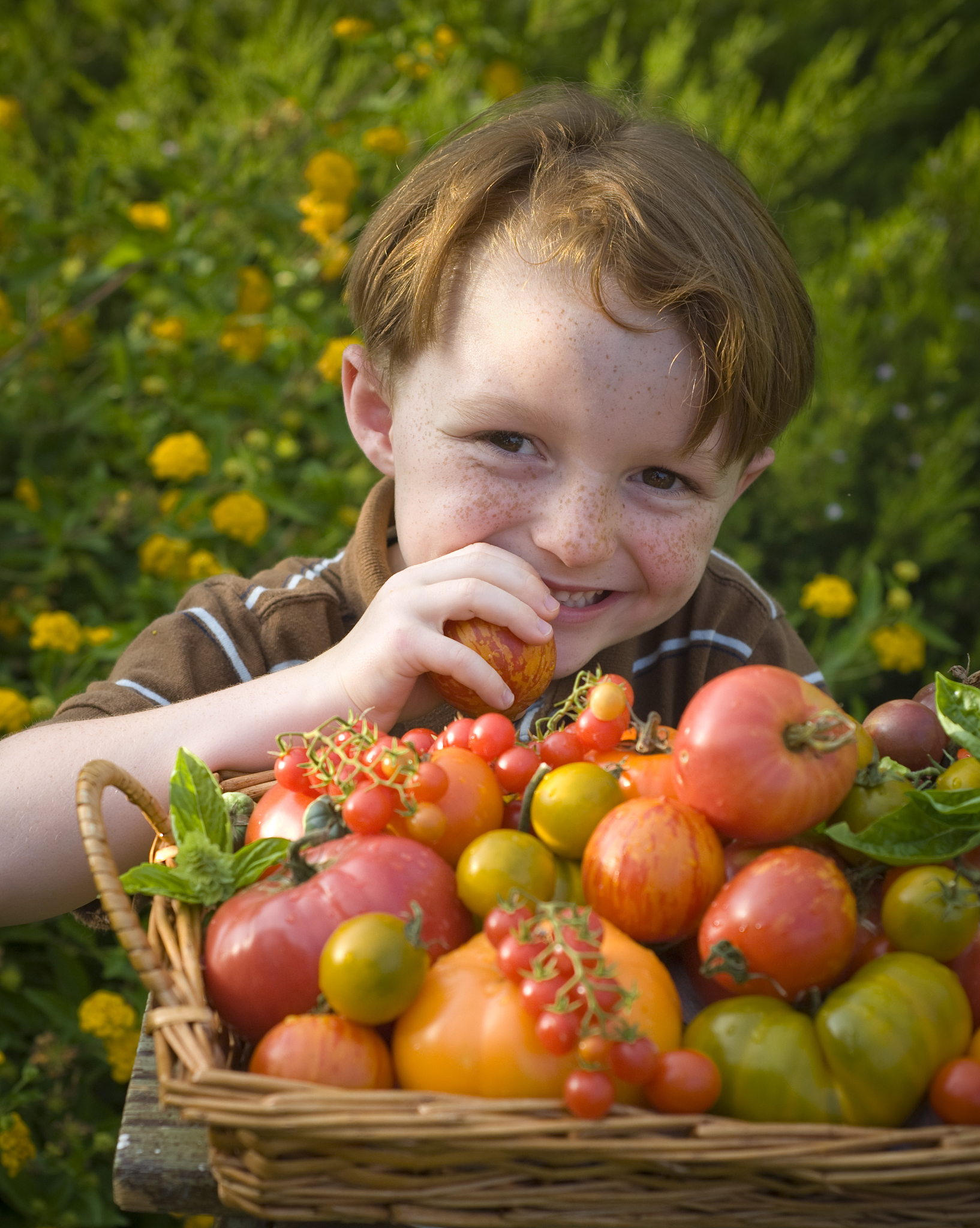 boy eating healthy vegetables, child gardener & homegrown heirlo