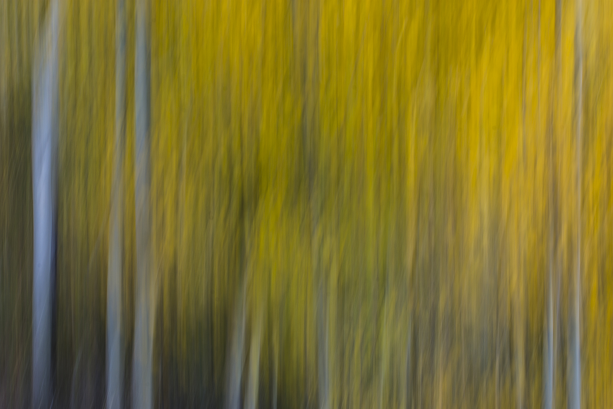 印象主义诗歌：用感官体验描绘春天