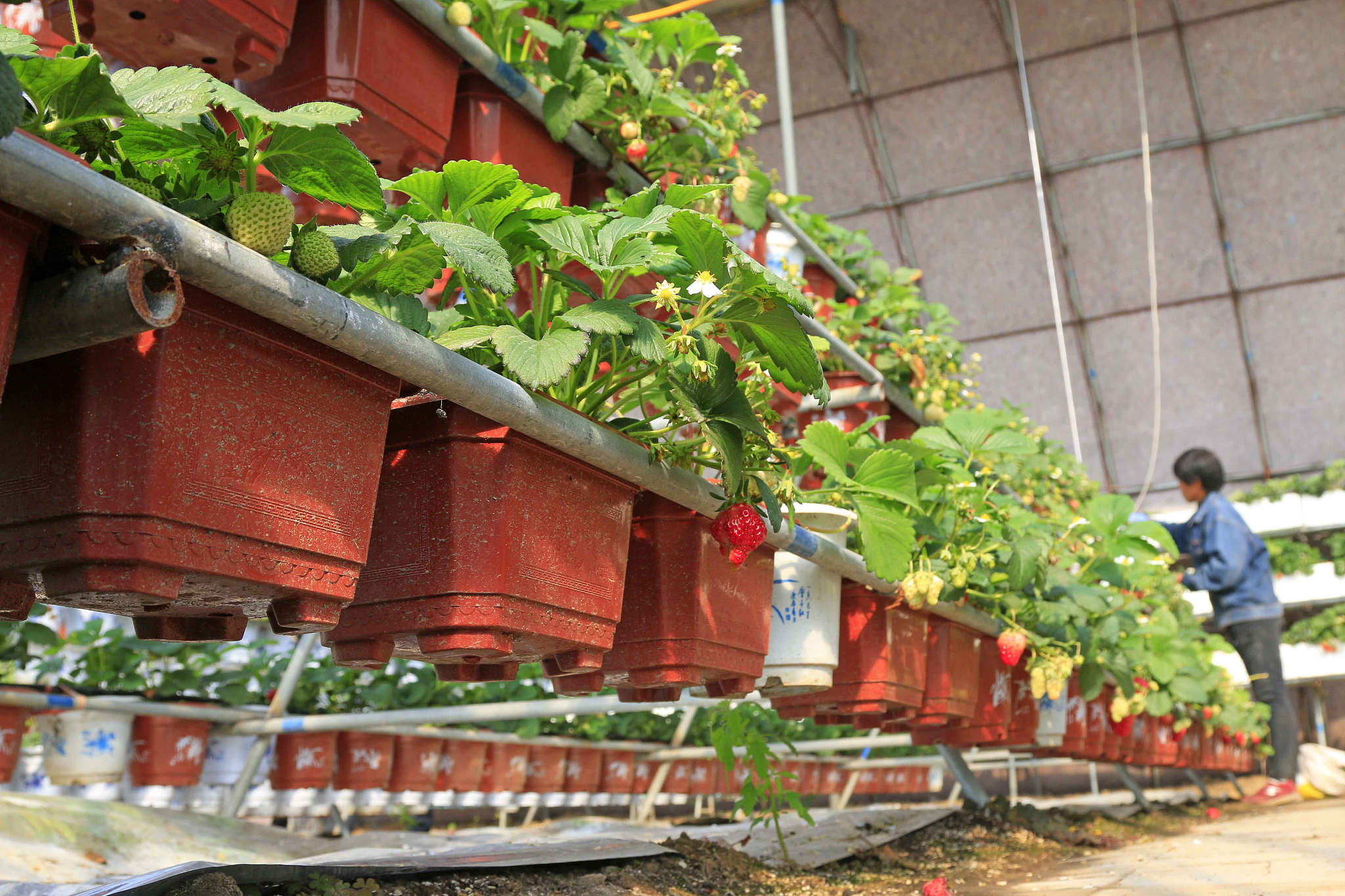 唐山哪些学校开设了计算机专业？