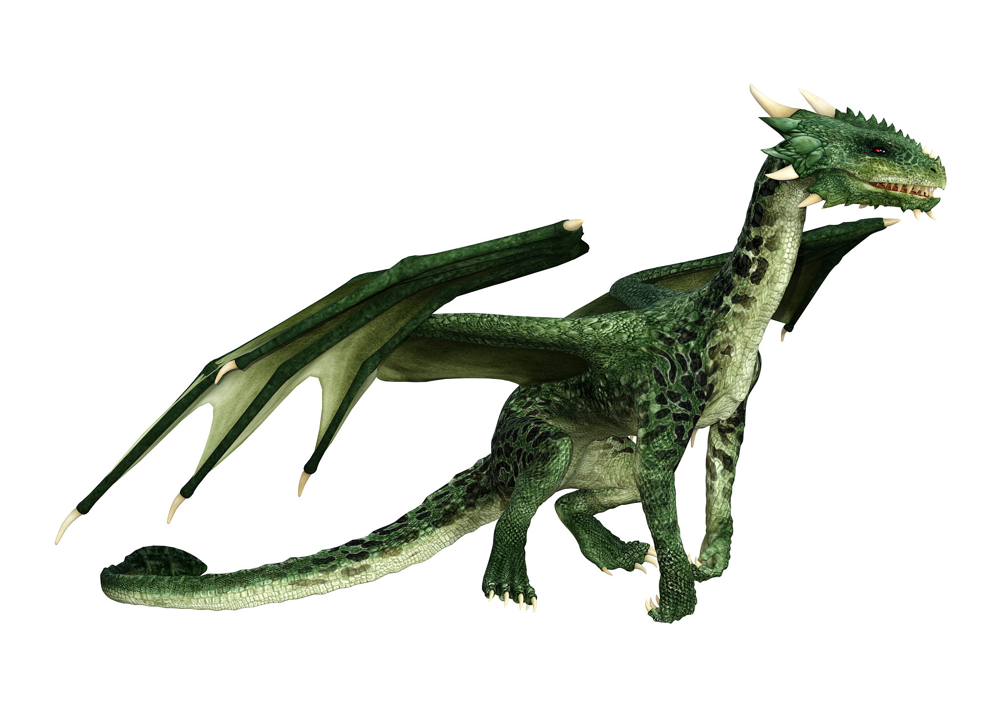 3d illustration fantasy dragon on white