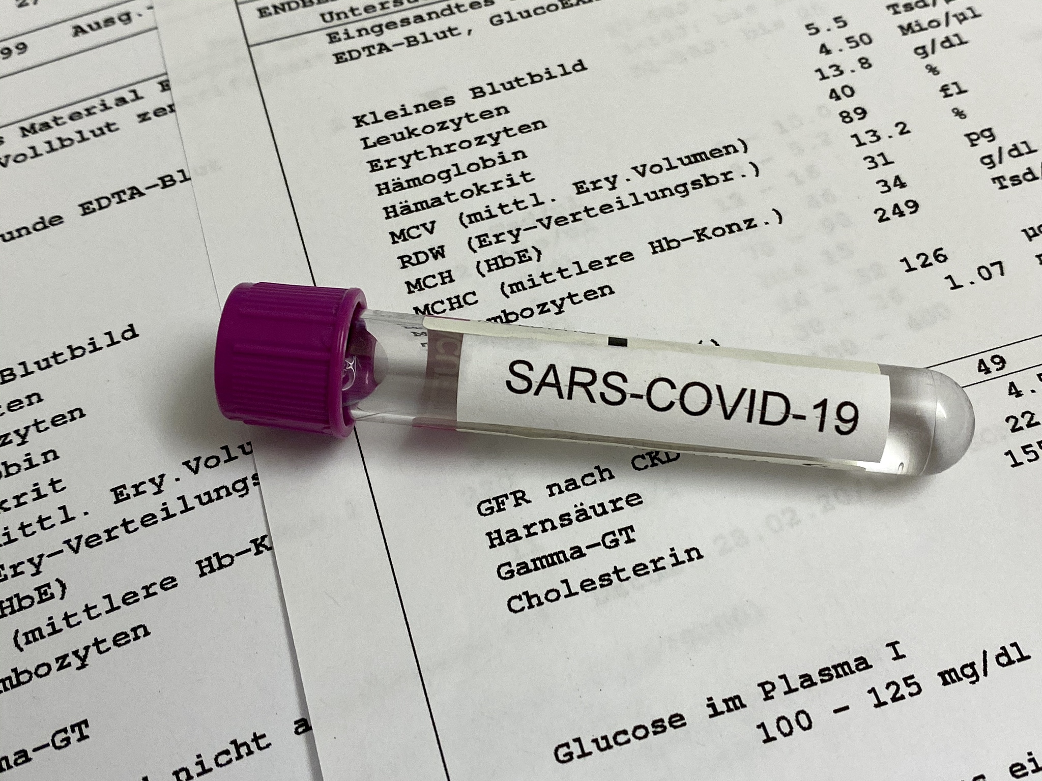 犬血友病1型检测诊断：方法、步骤及意义