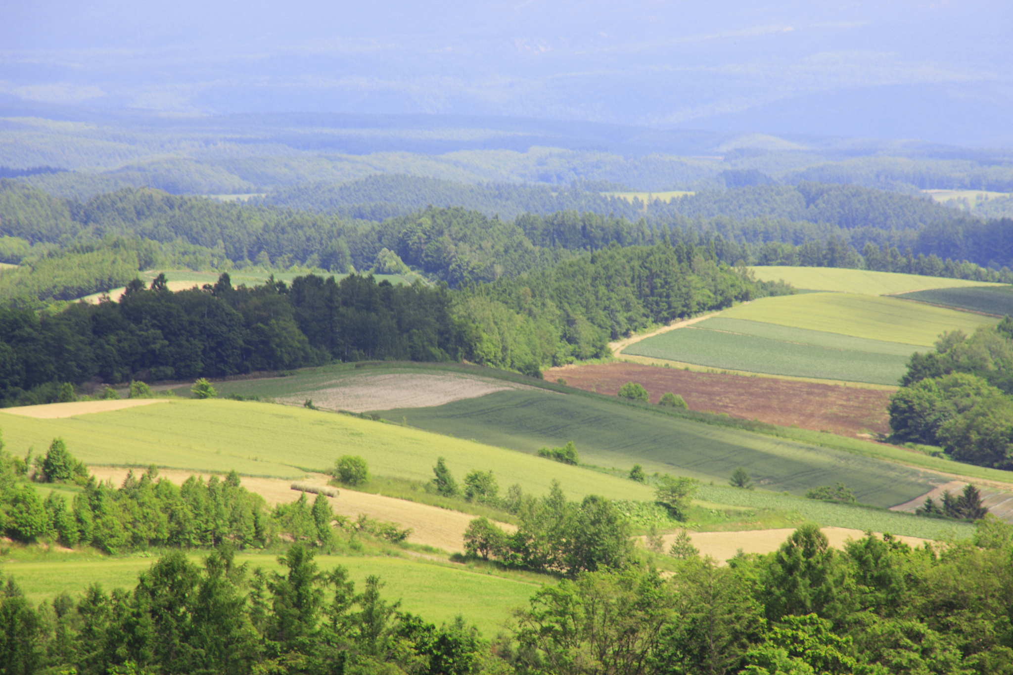 patchwork hills