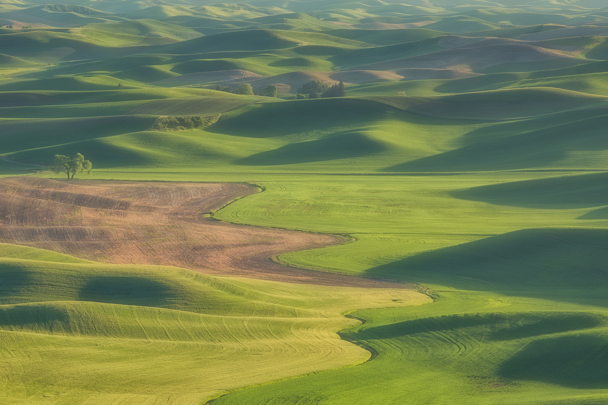 palouse rolling hills