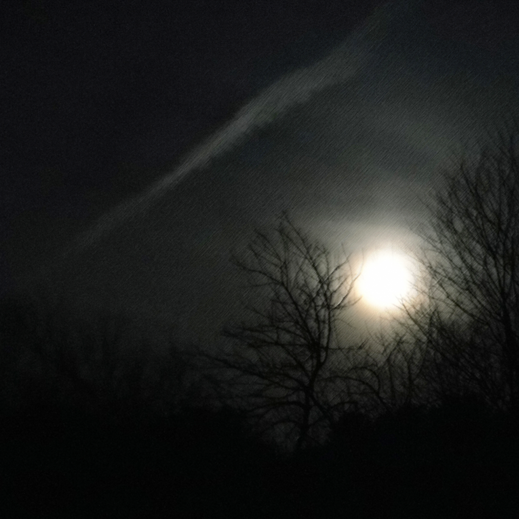 以夜色难免黑凉前行必有曙光为主题写1000字议论文