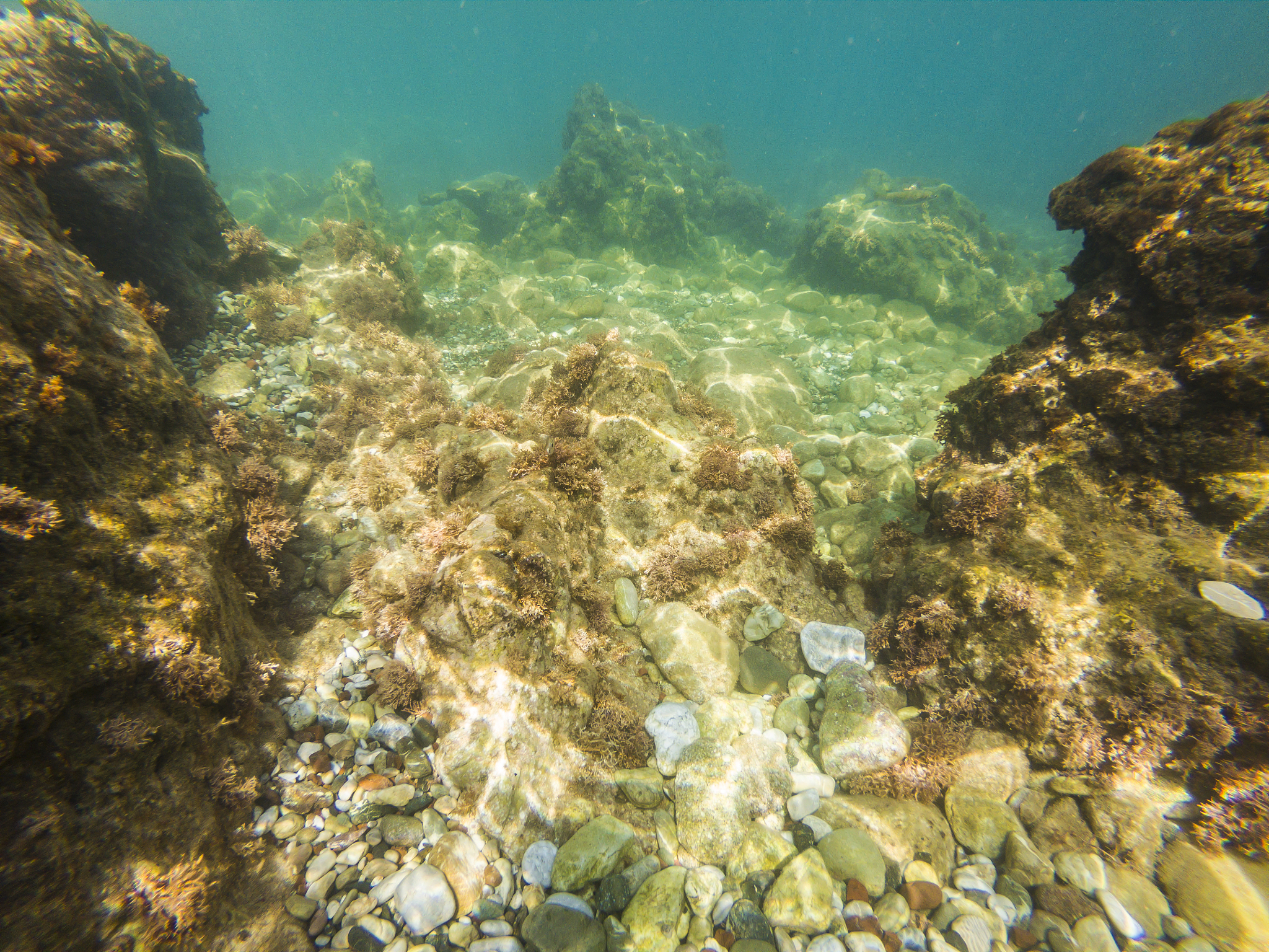 Japan's Nuclear Water: A Big 'Ol' Pile of Nonsense!