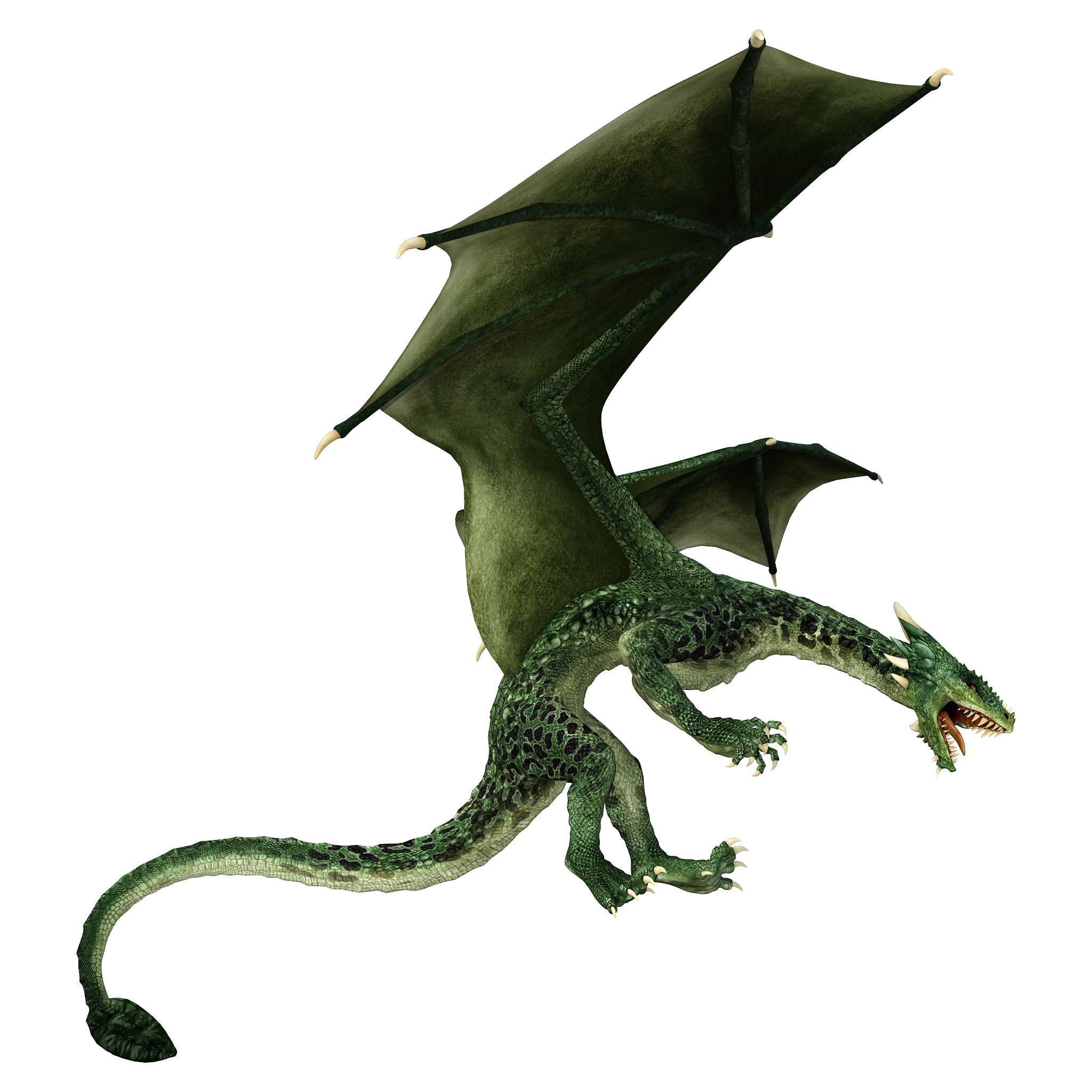 3d illustration fantasy dragon on white