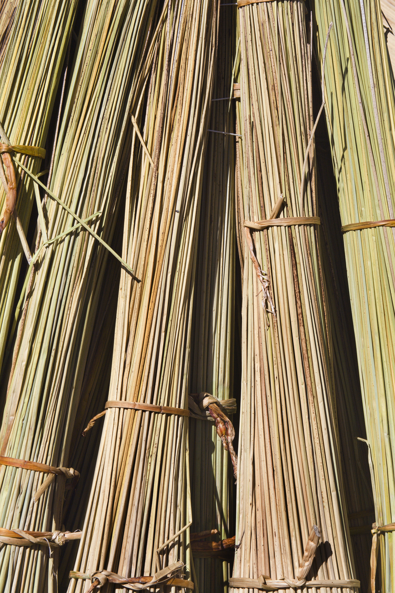 贵州省建筑材料工业学校招生办联系电话 - 详细招生信息咨询