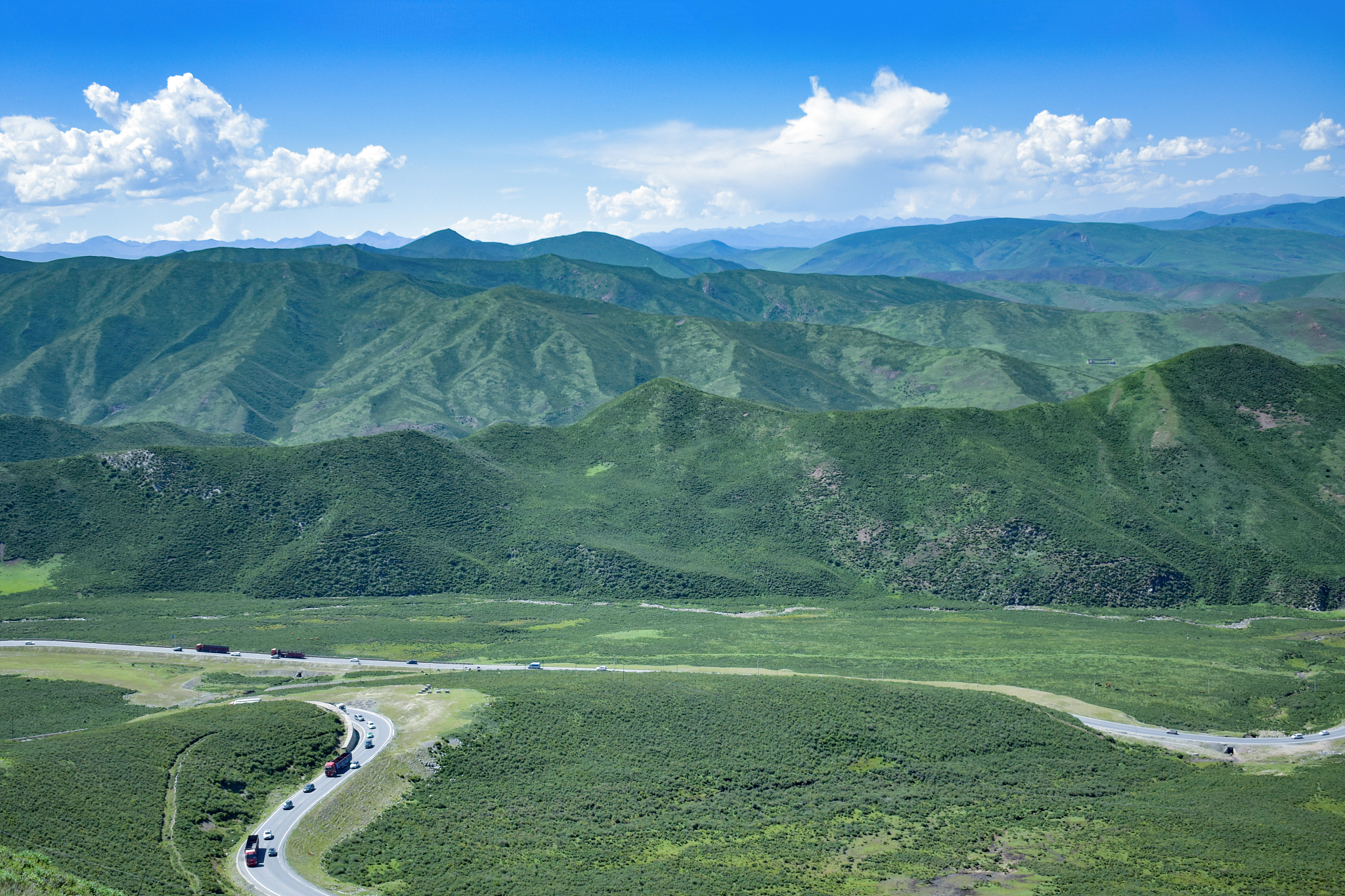 根据纪录片《领航》第十集绿水青山写一篇1500字的观后感