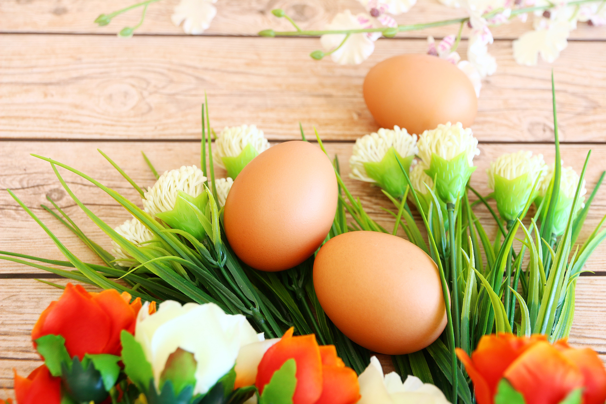 fresh eggs