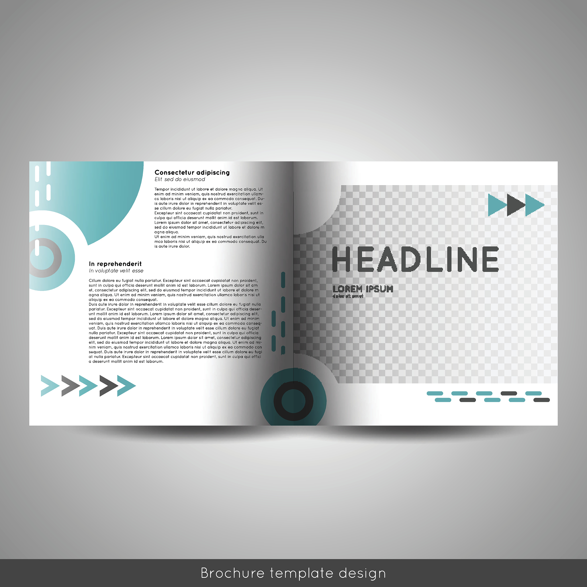 bi fold square business or educational brochure template design.