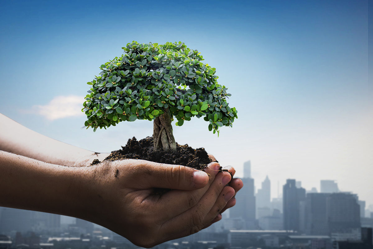 广东惠州农业学校植物保护专业怎么样