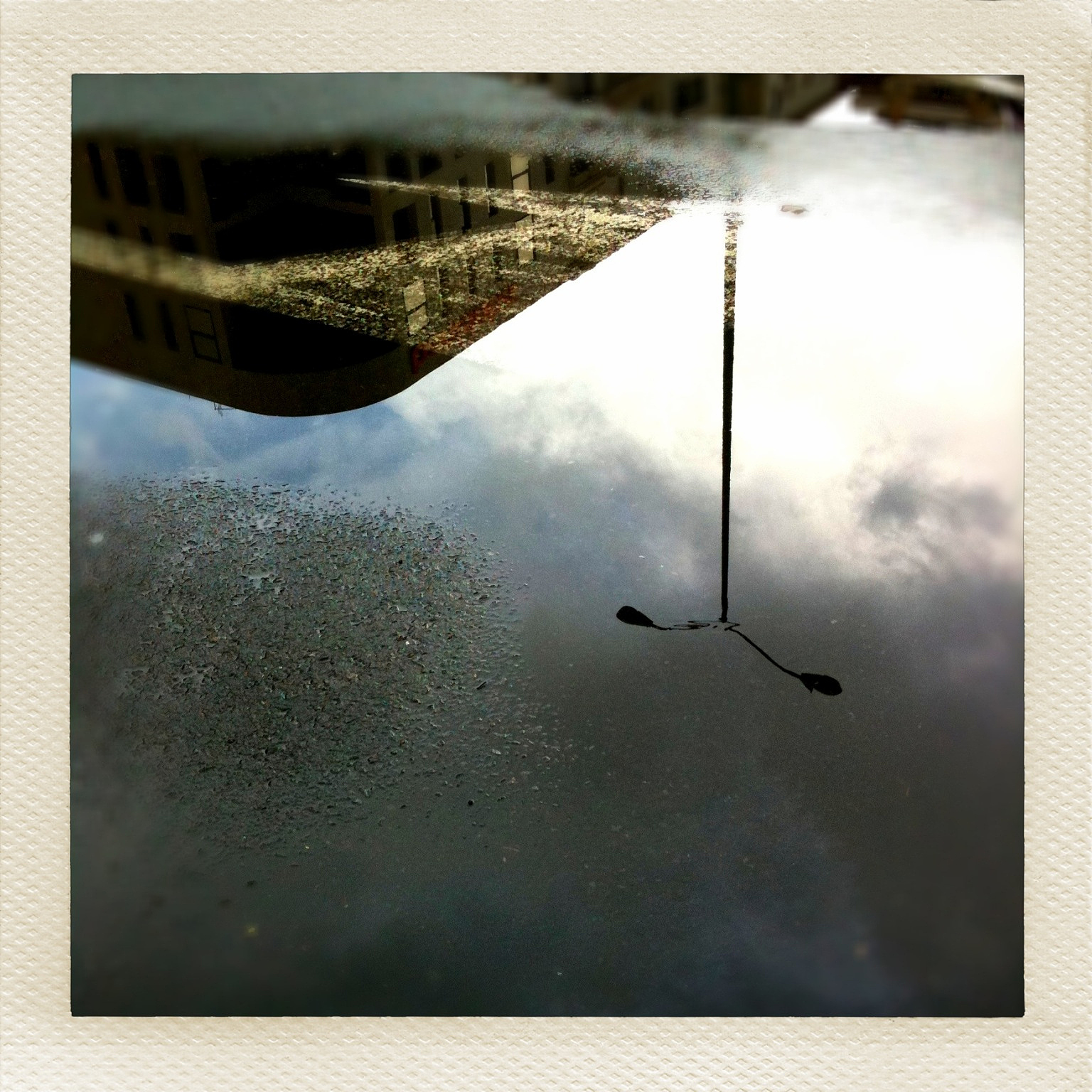 夜间盲钓鲢鳙怎么钓 操作步骤帮我用200字详细描述