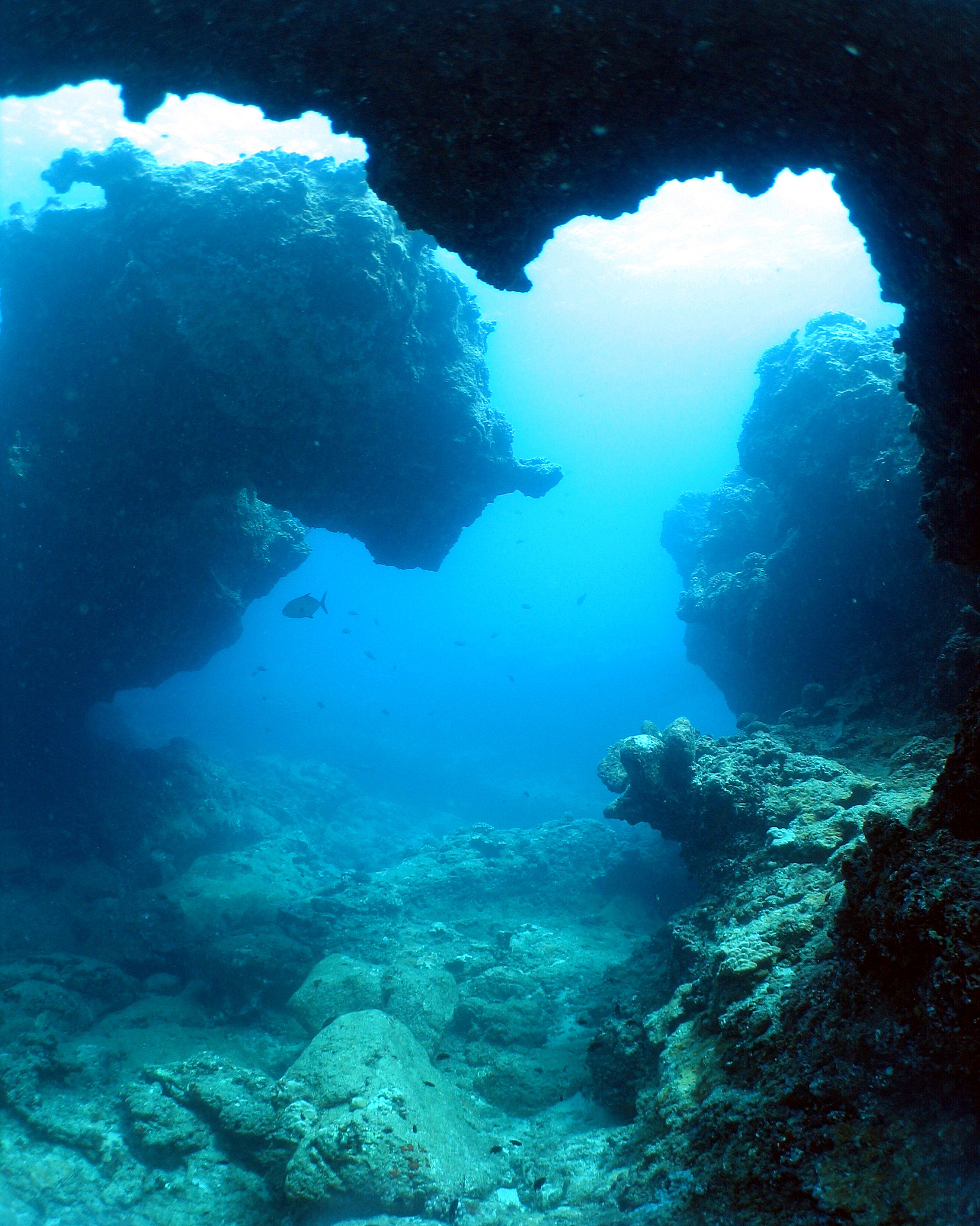 undersea overhangs