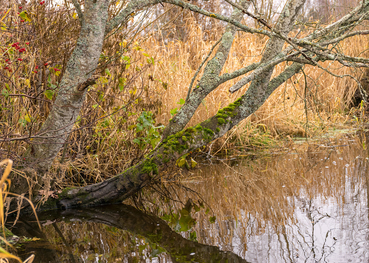 根据这段描述作诗一首