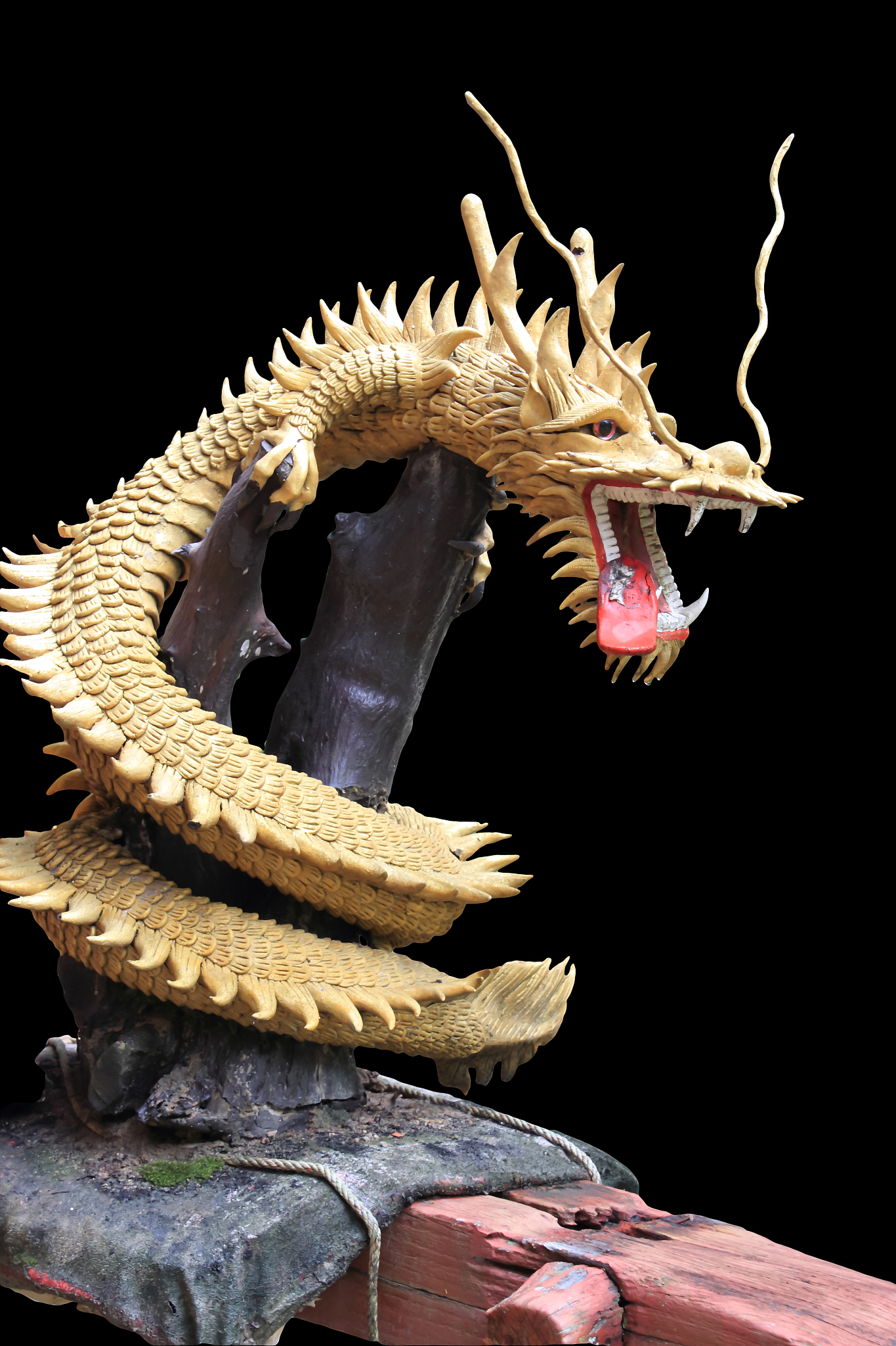 dragon