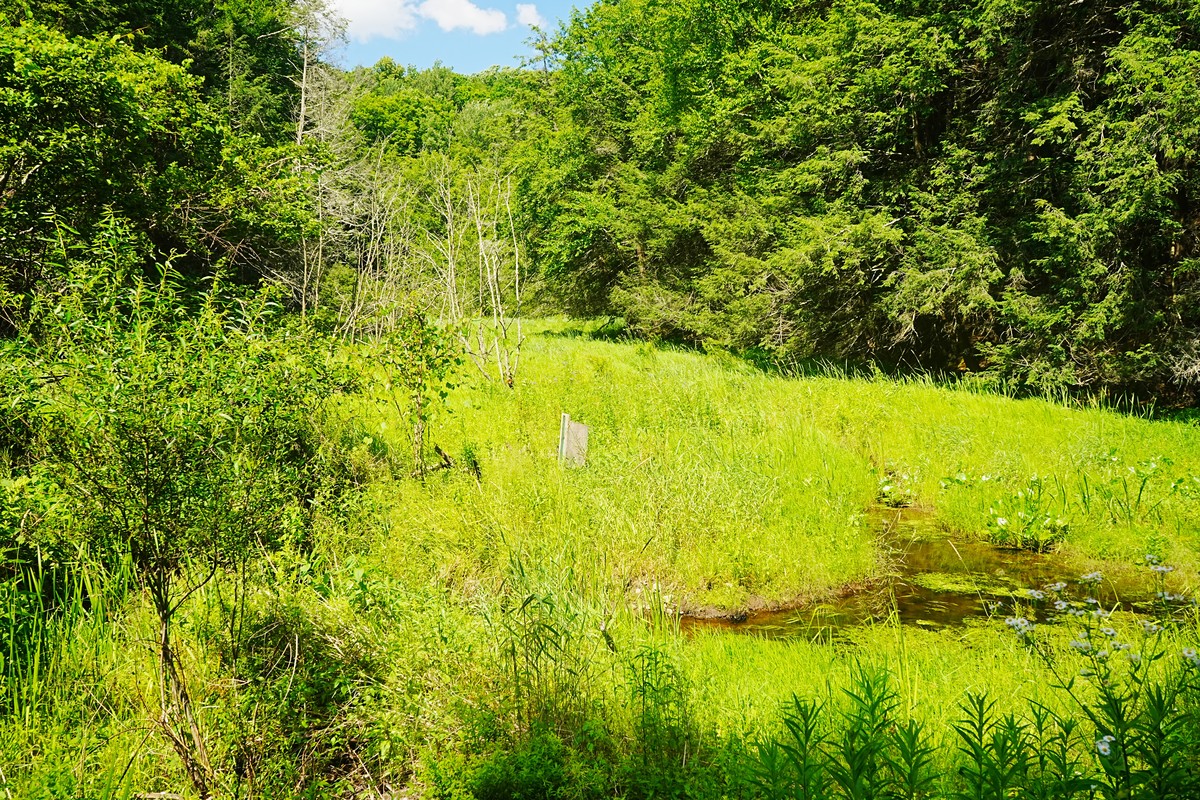 林雅之旅：探索自然，体验文化，感受生活