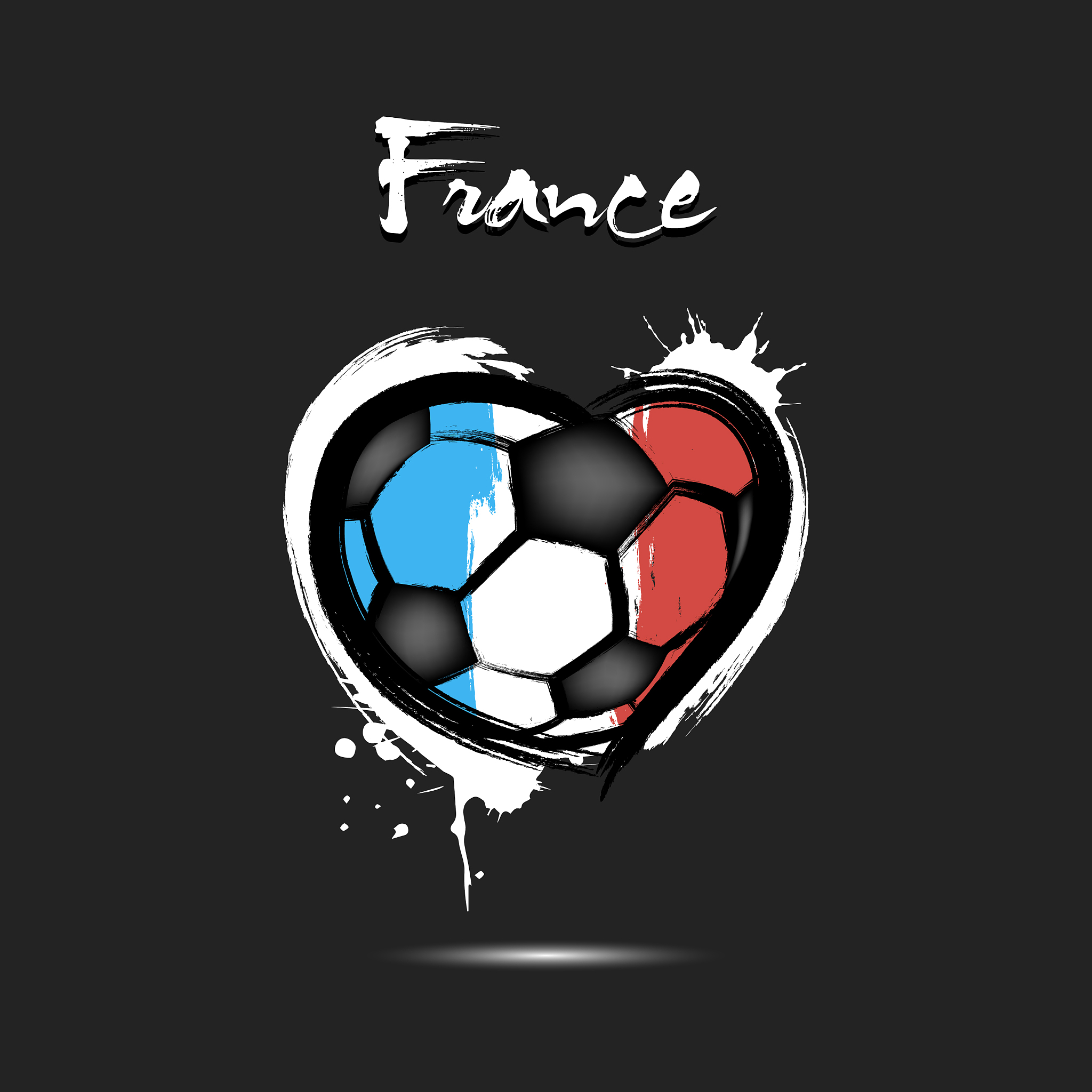 flag of france in the form of a heart