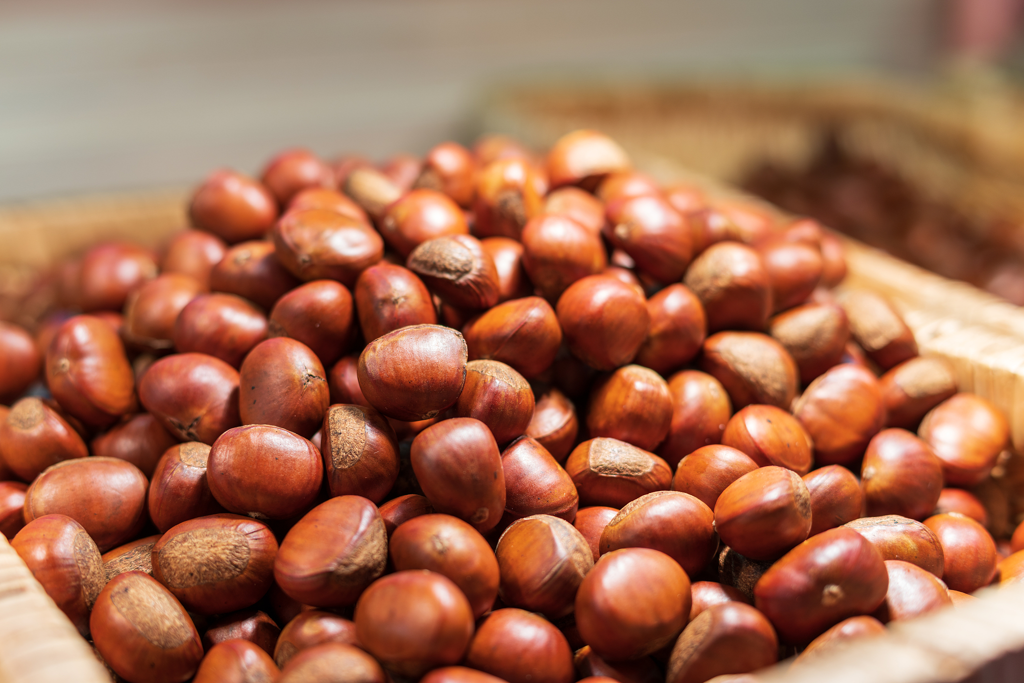 板栗赋：剥壳焚火，香飘古今